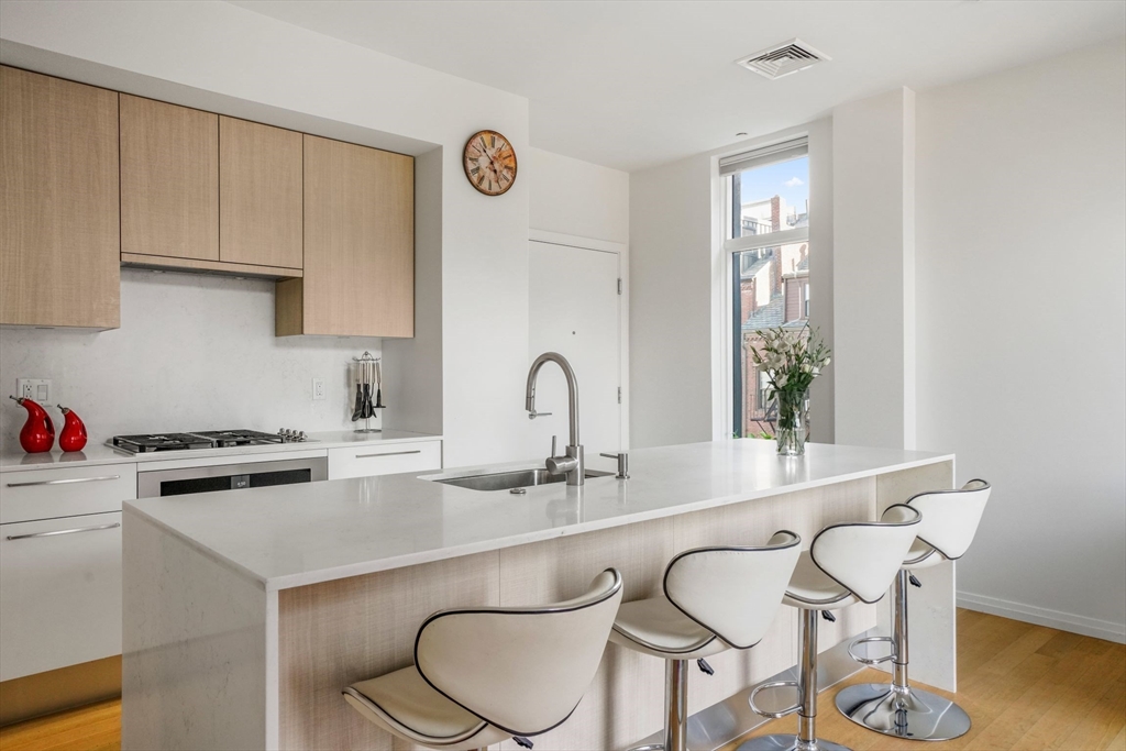 7 E Springfield, South End