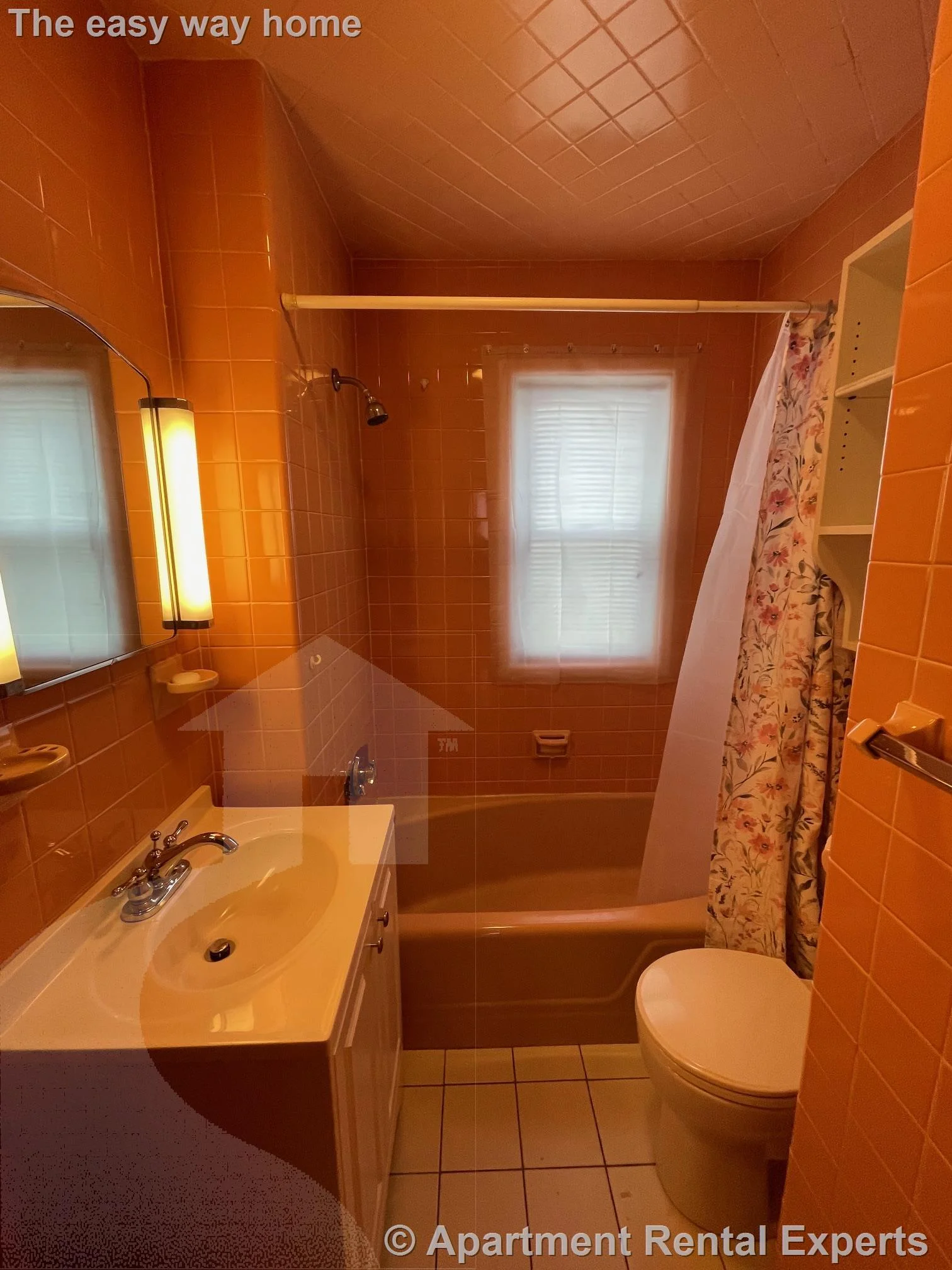 3 Edgar Ct, Winter Hill
