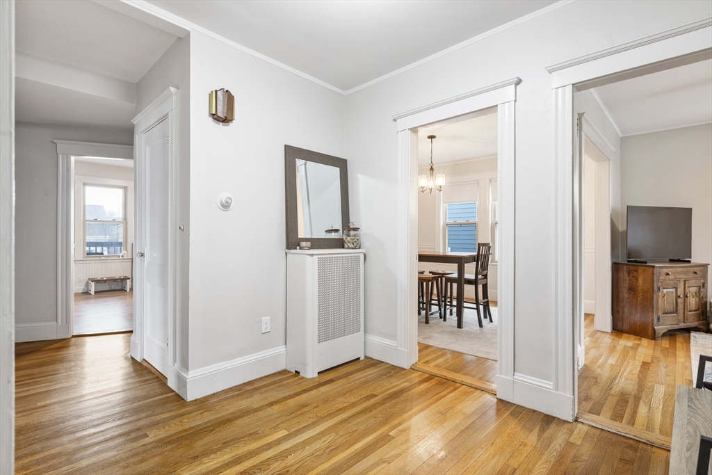 8 Hallet, Dorchester