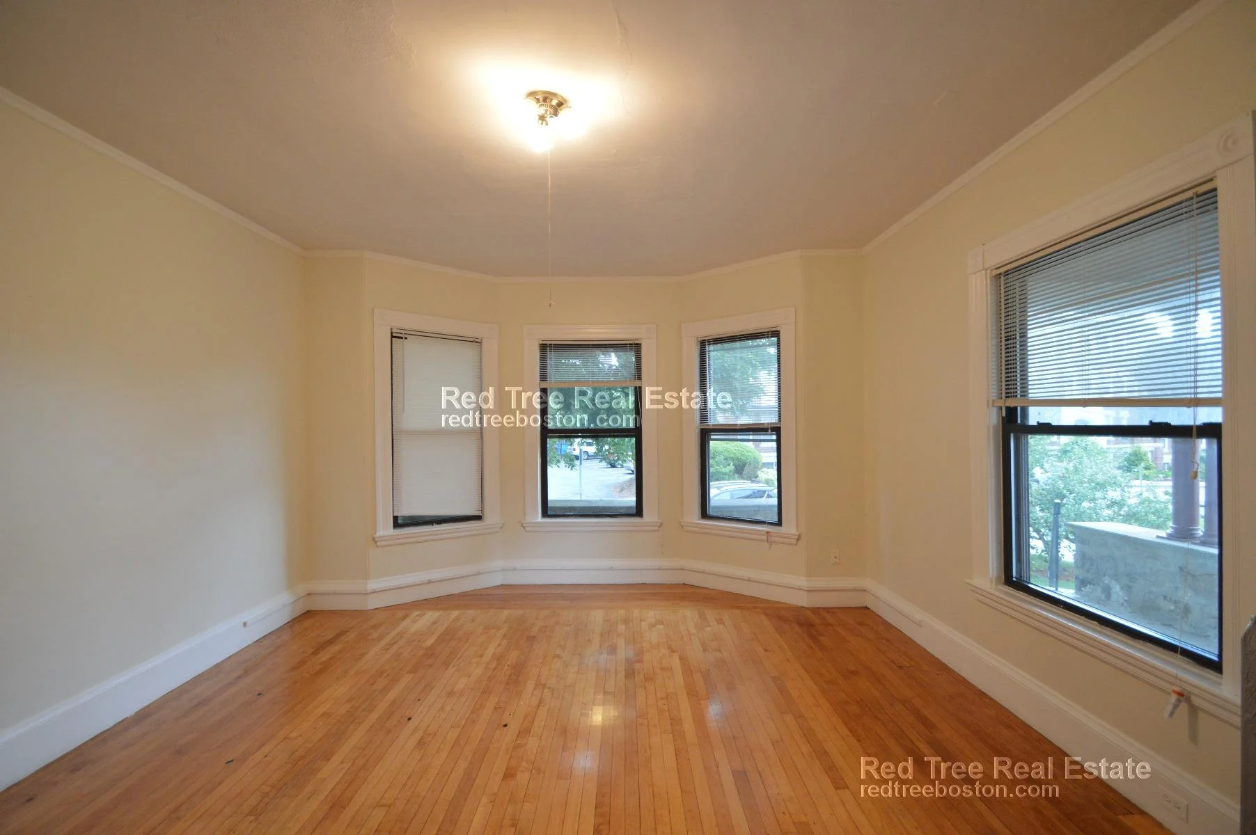 31 Quint Ave, Brighton