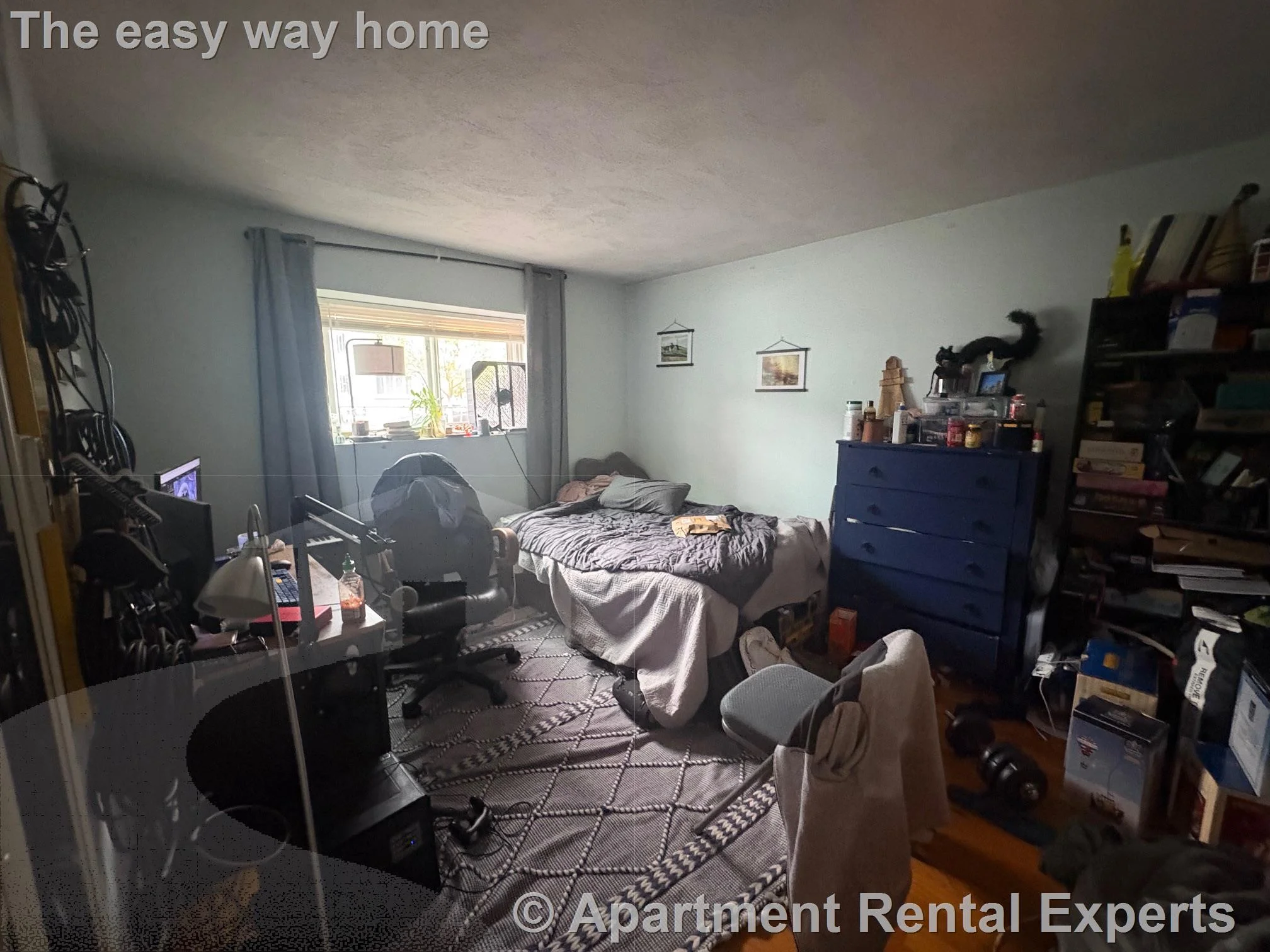 259 Summer St, Porter Square
