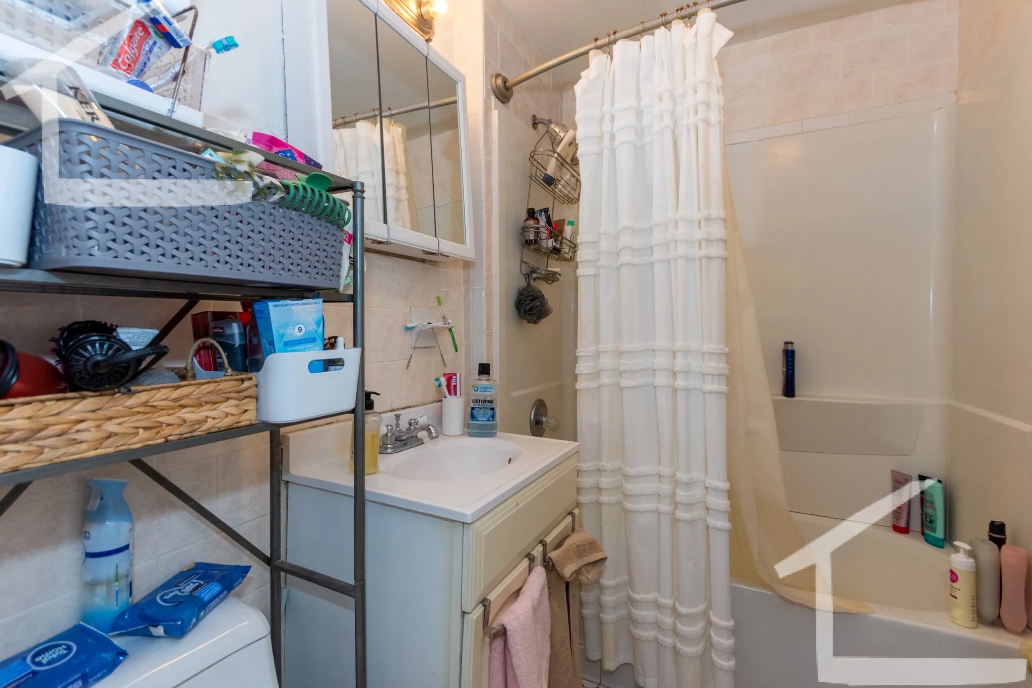 56 Egmont St, North Brookline