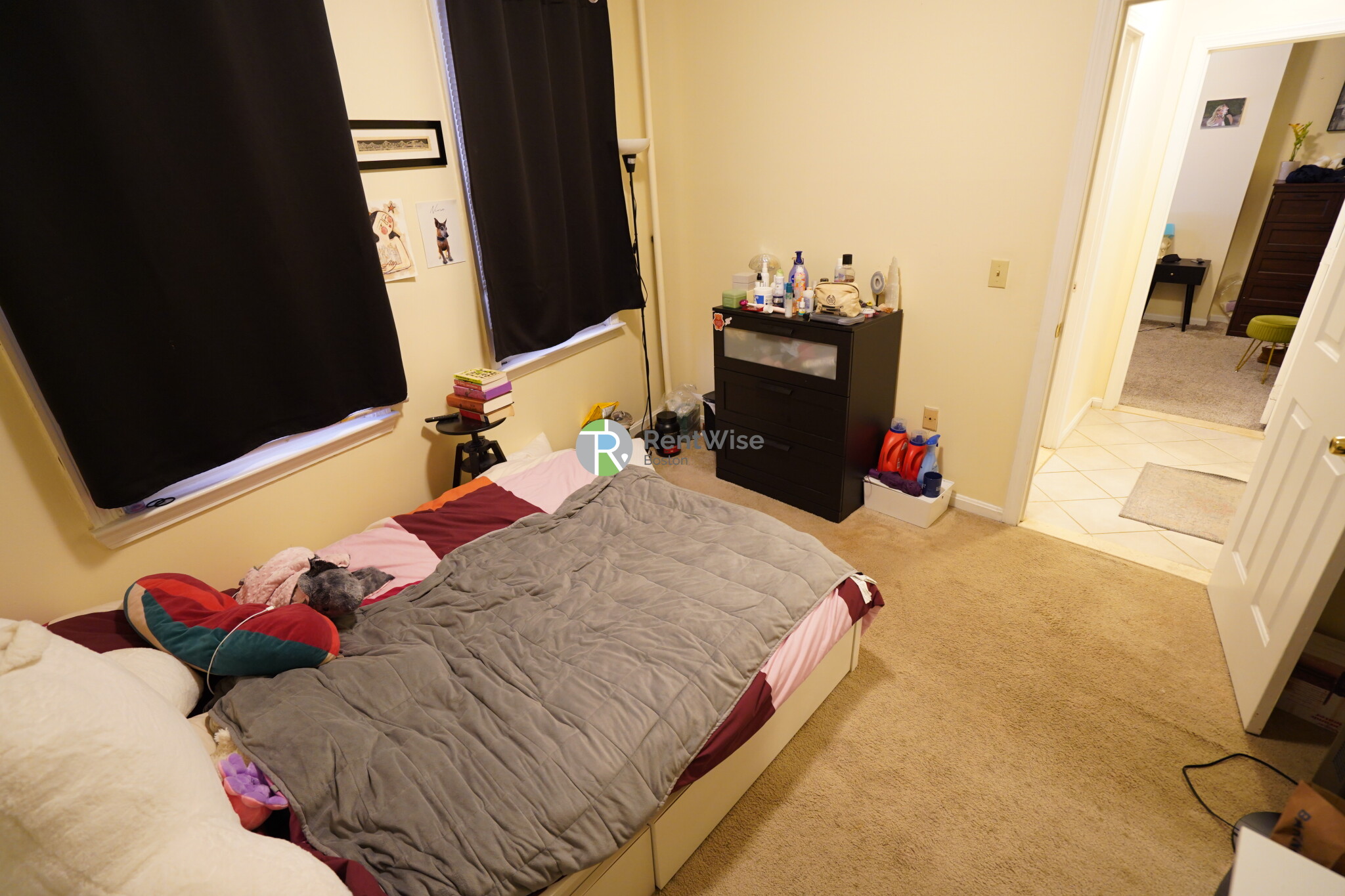 11 Lorraine St, Roslindale