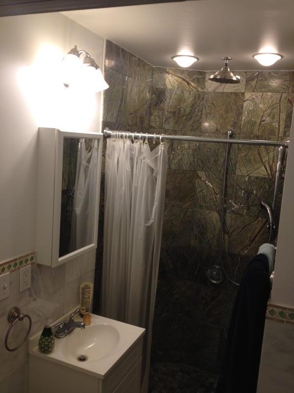 54 Portsmouth St, Wellington-Harrington