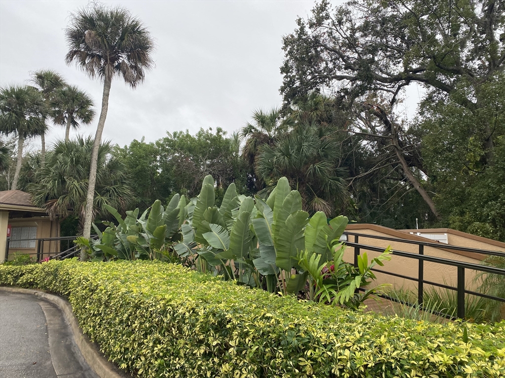 1401 Palmetto, Daytona Beach