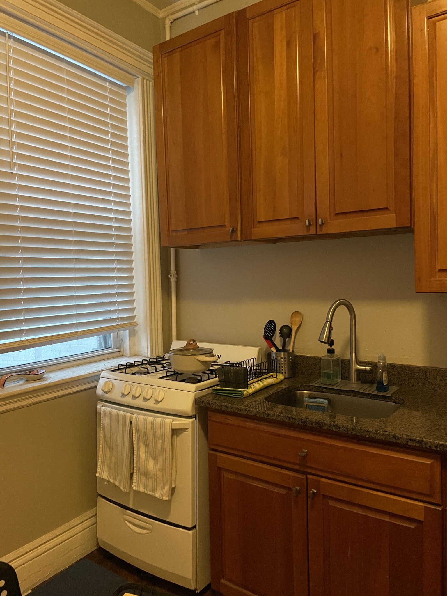 50 Charlesgate East, Fenway