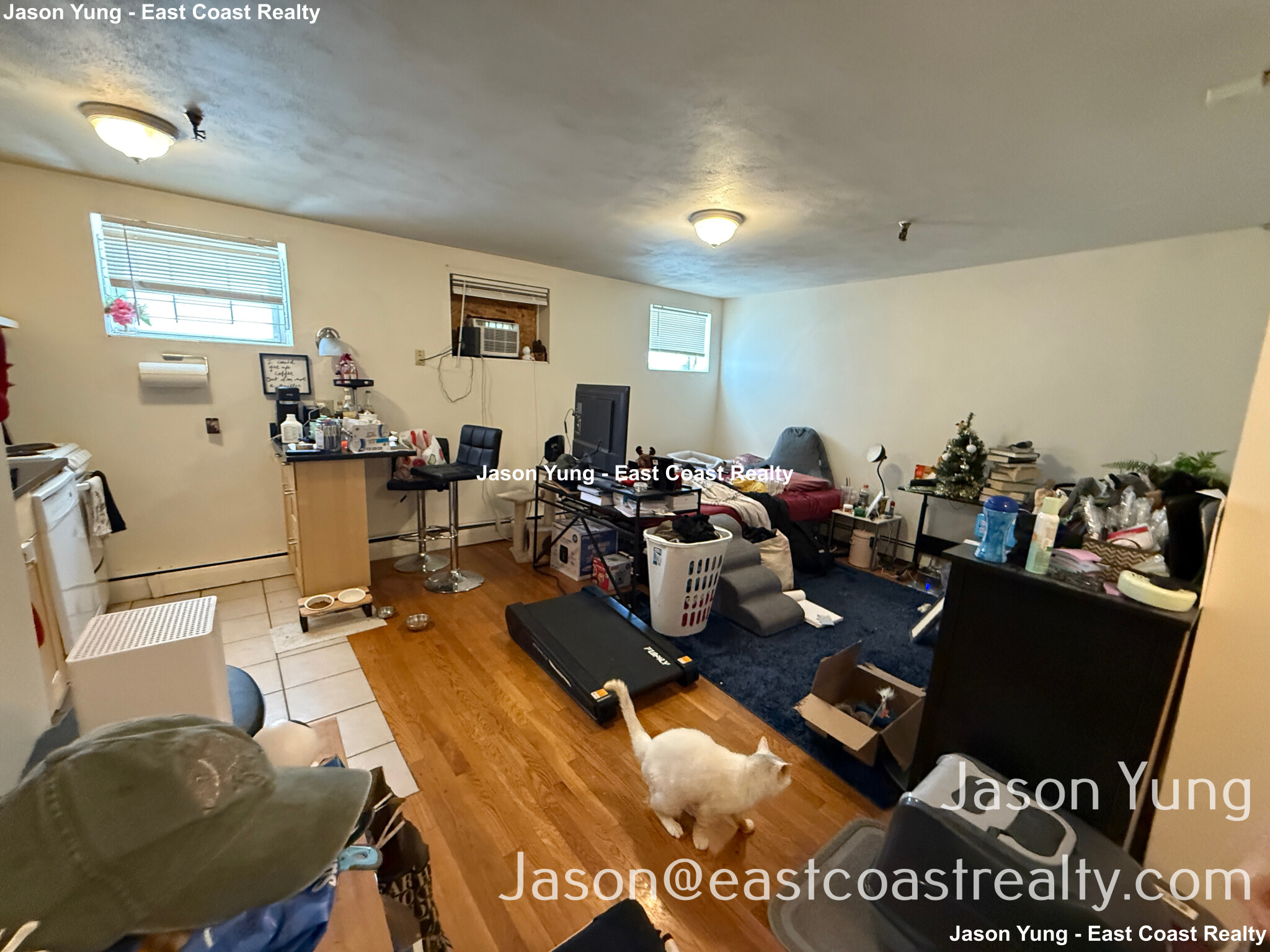 56 Brighton Ave, Brighton