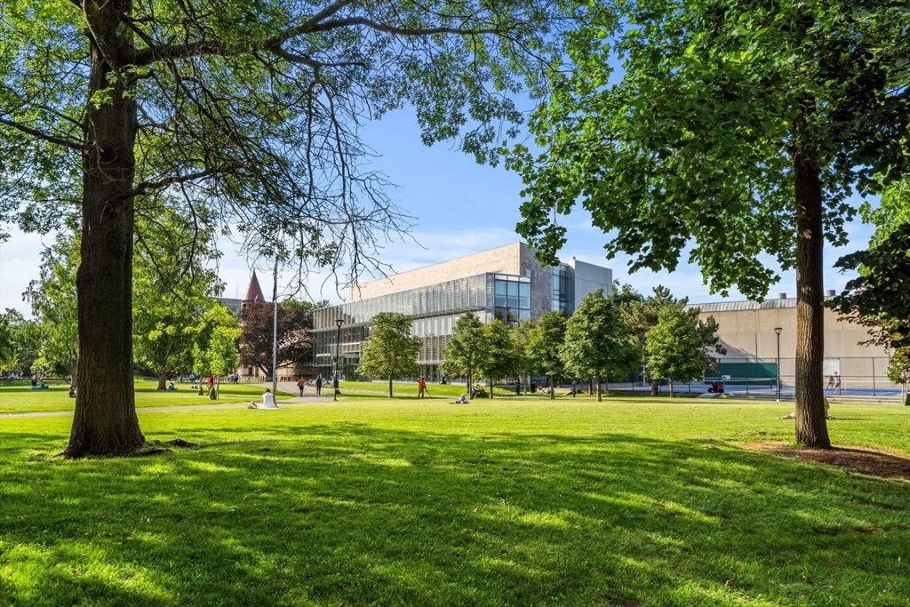 107 Ellery St, Harvard Square