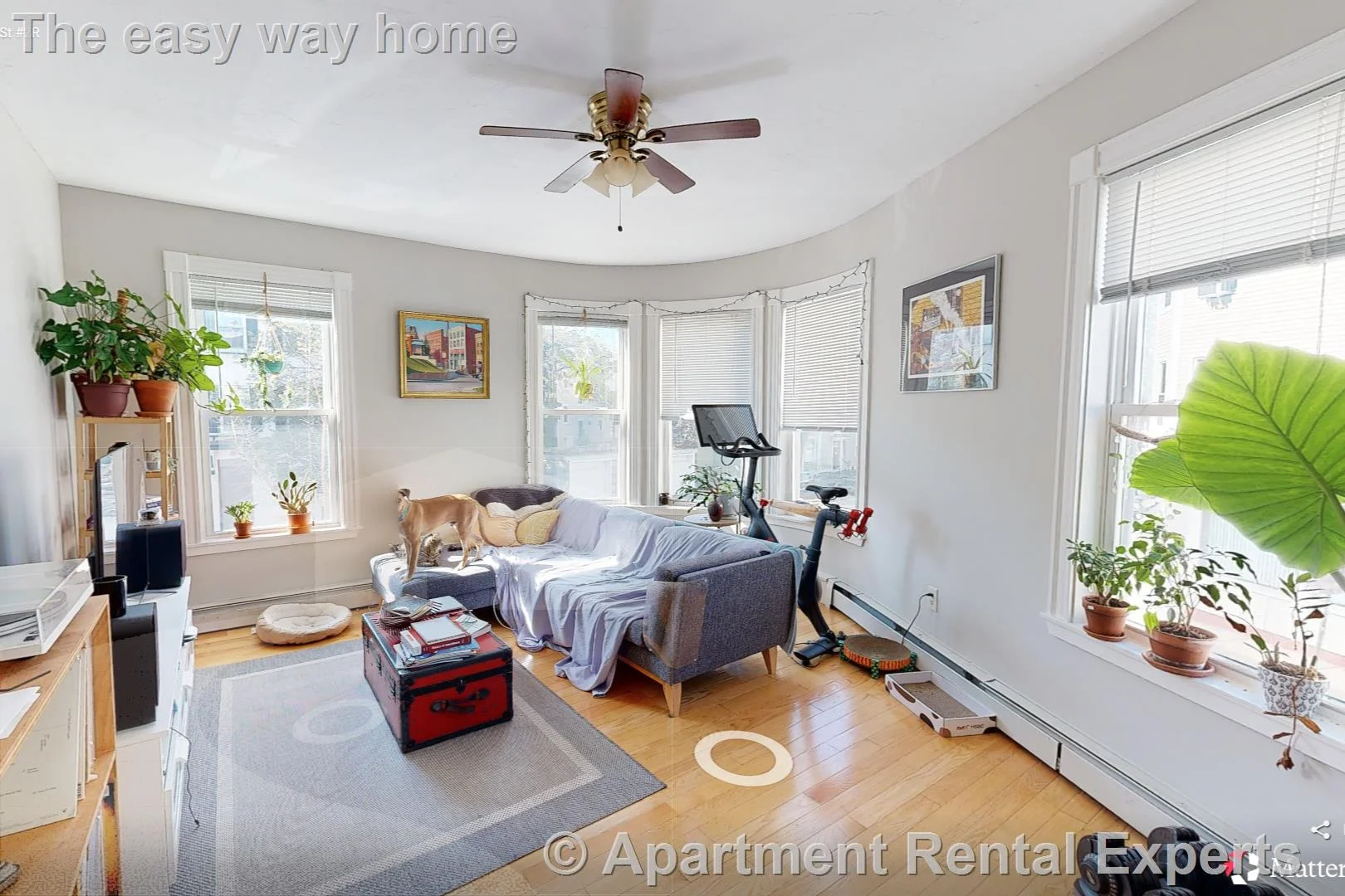 33 Portsmouth St, Kendall Square