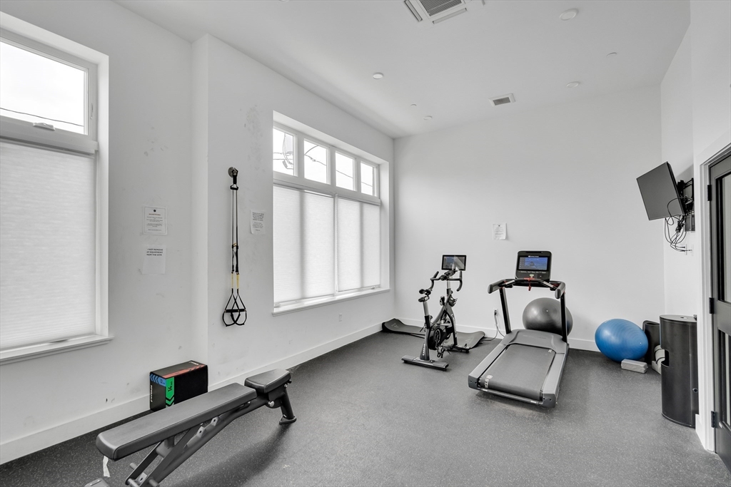 50 Hichborn St, Brighton