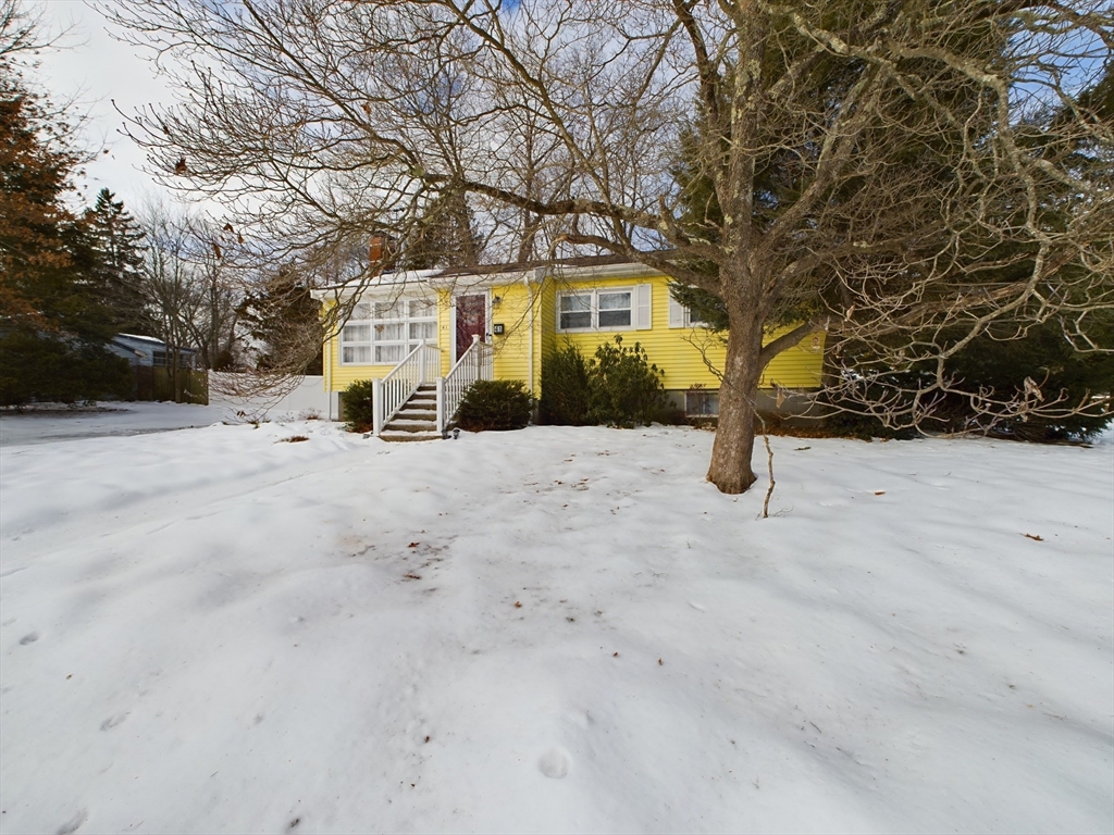 41 Althea Rd, Randolph