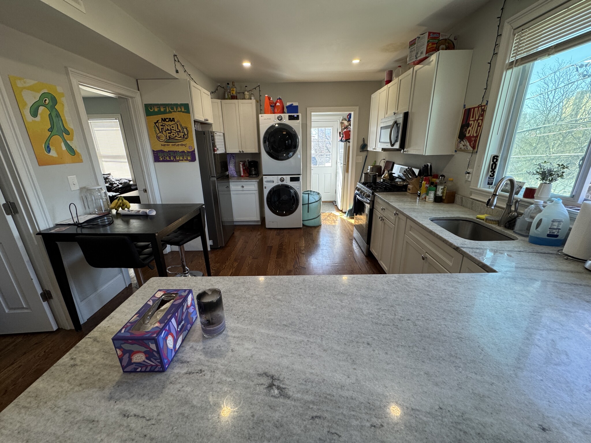 5 Hamilton Rd, West Somerville