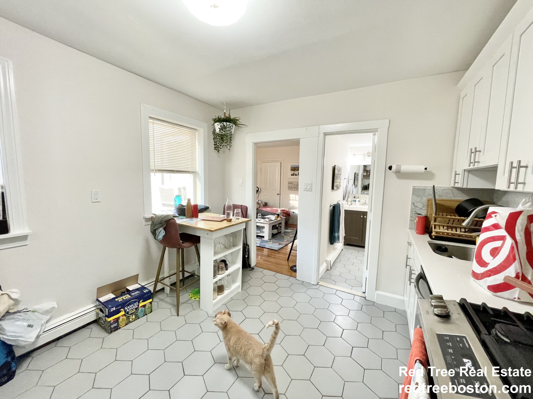 17 Spring Garden St, Dorchester