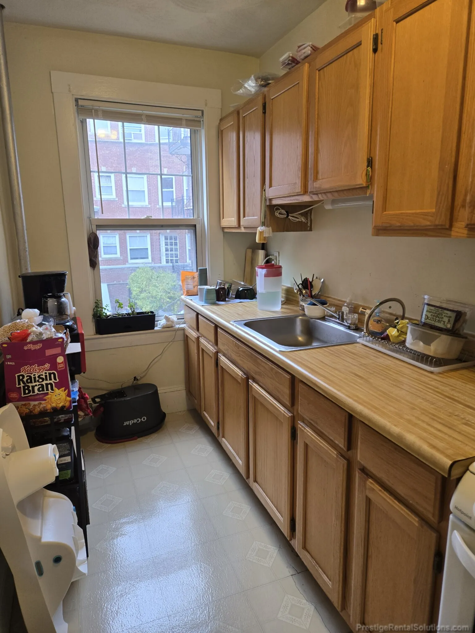 157 Summer St, Spring Hill
