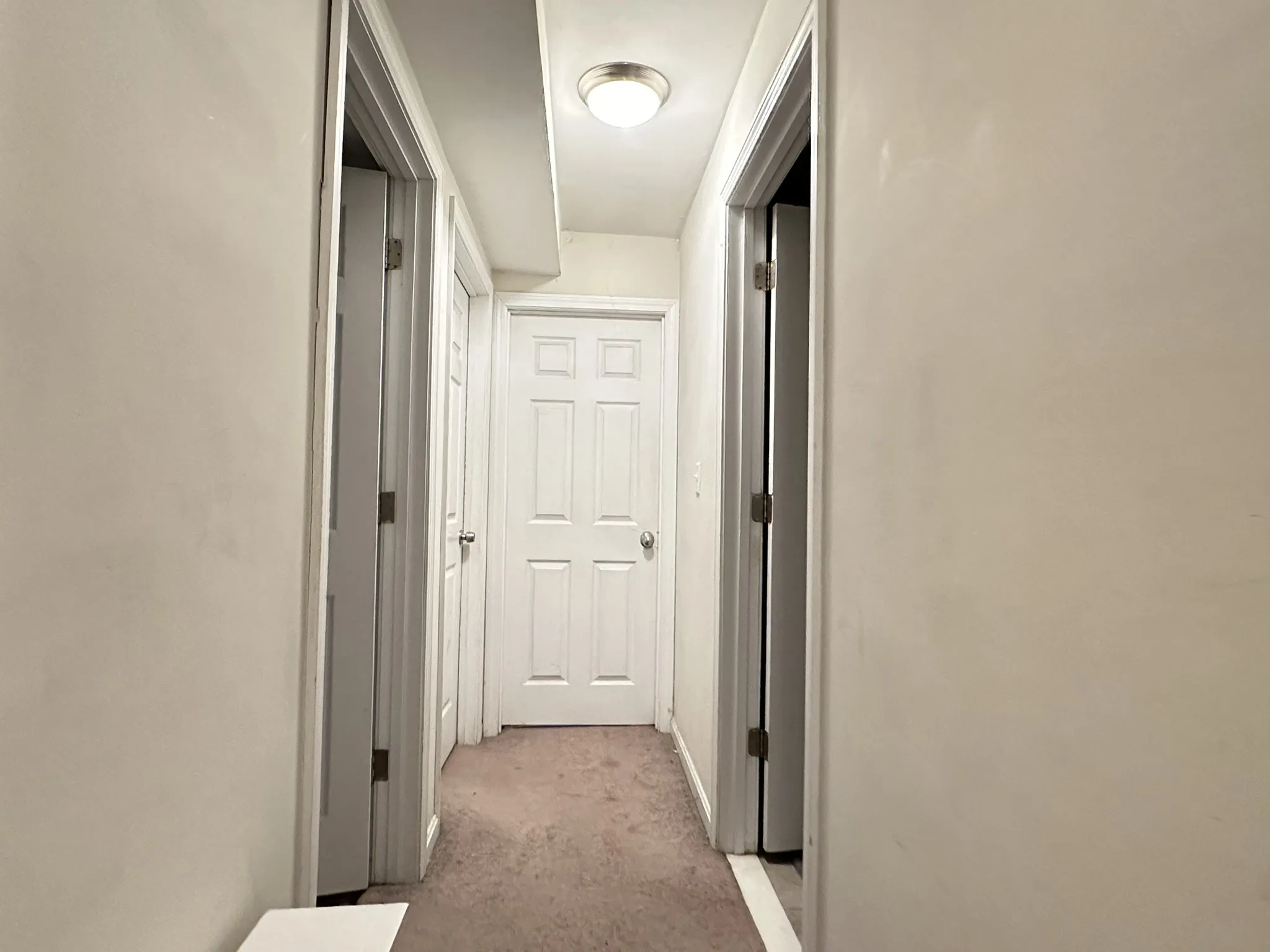 12 Wensley St, Mission Hill