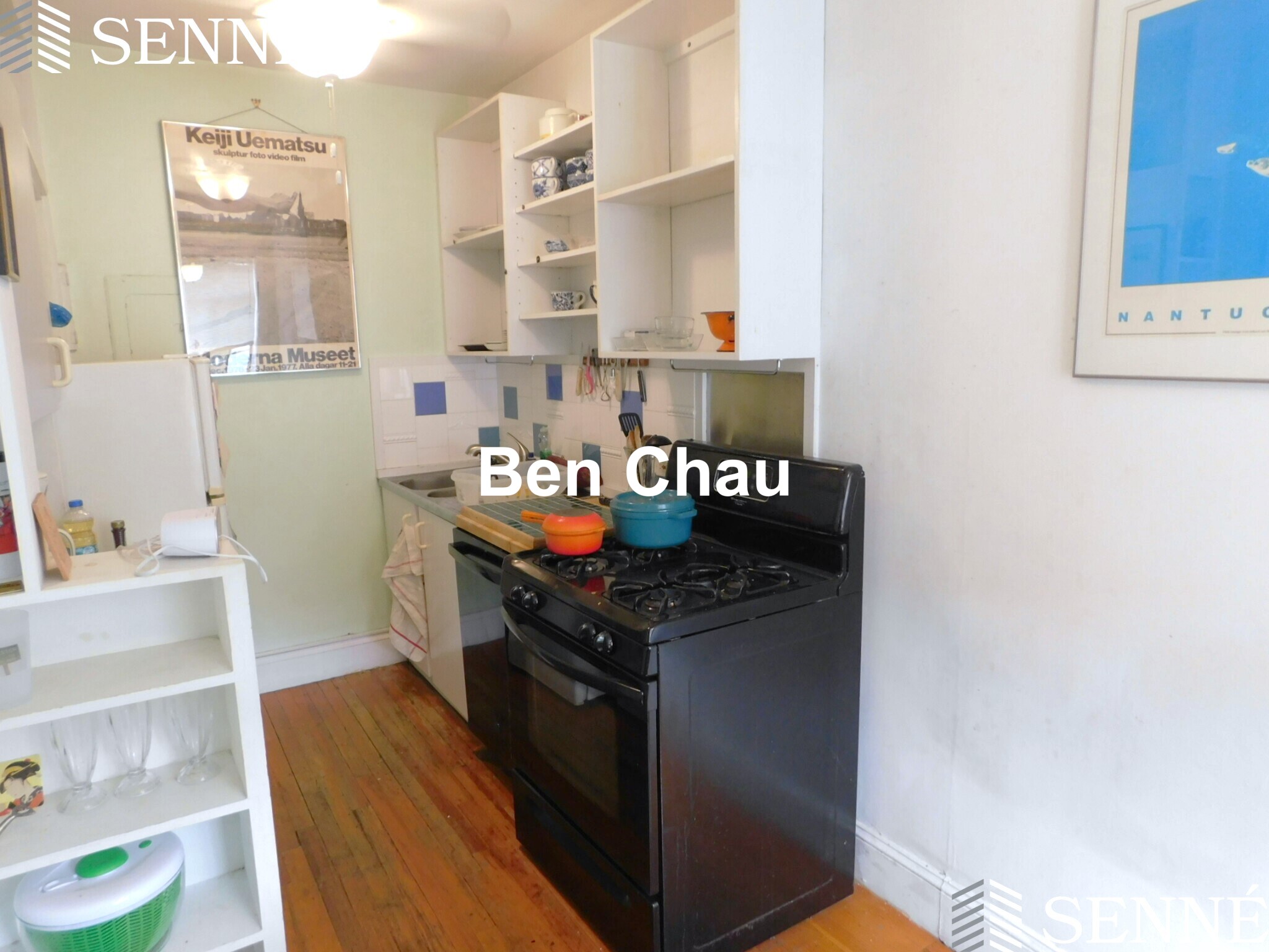 36 Linnaean St, Neighborhood Nine