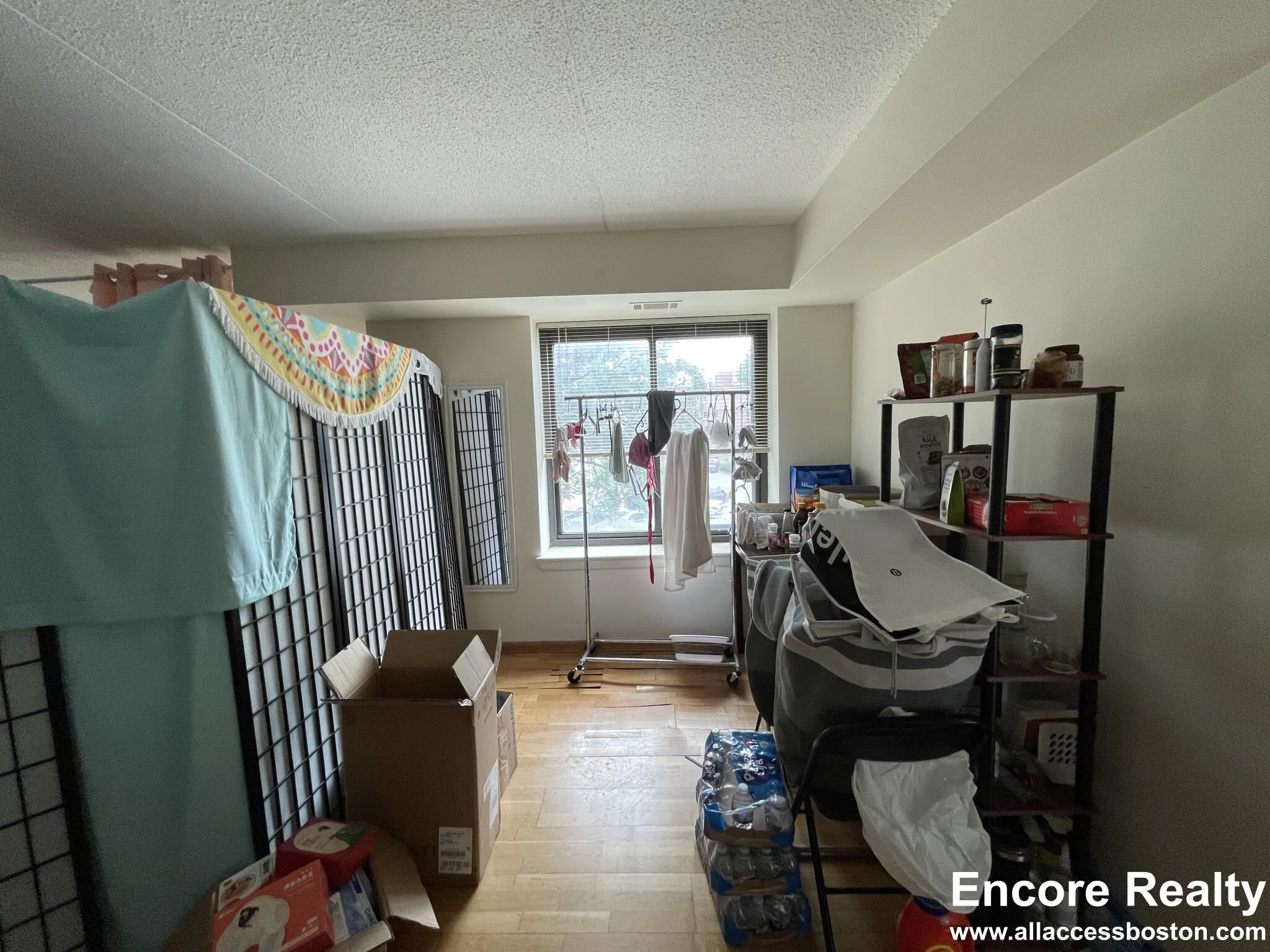 1243 Beacon St, Coolidge Corner