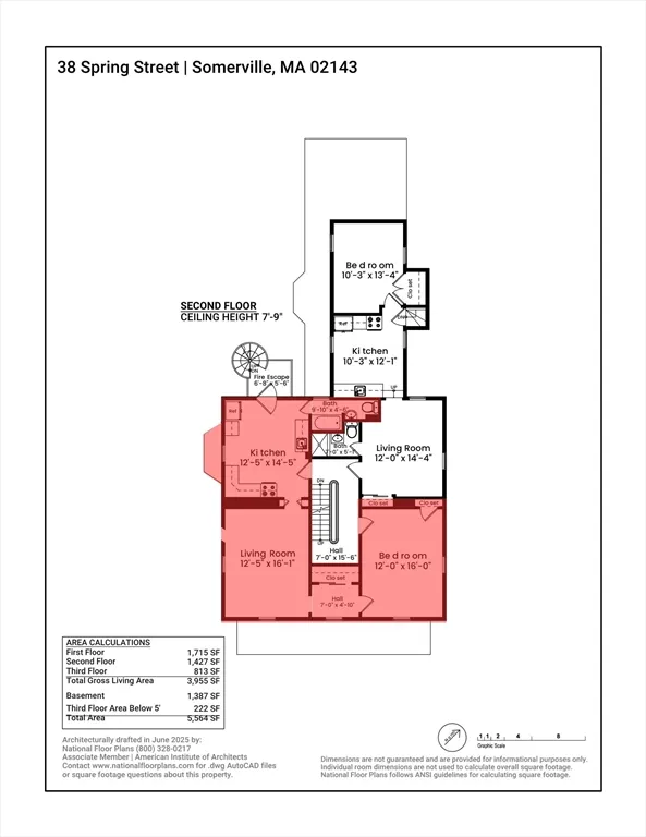 38 Spring, Spring Hill