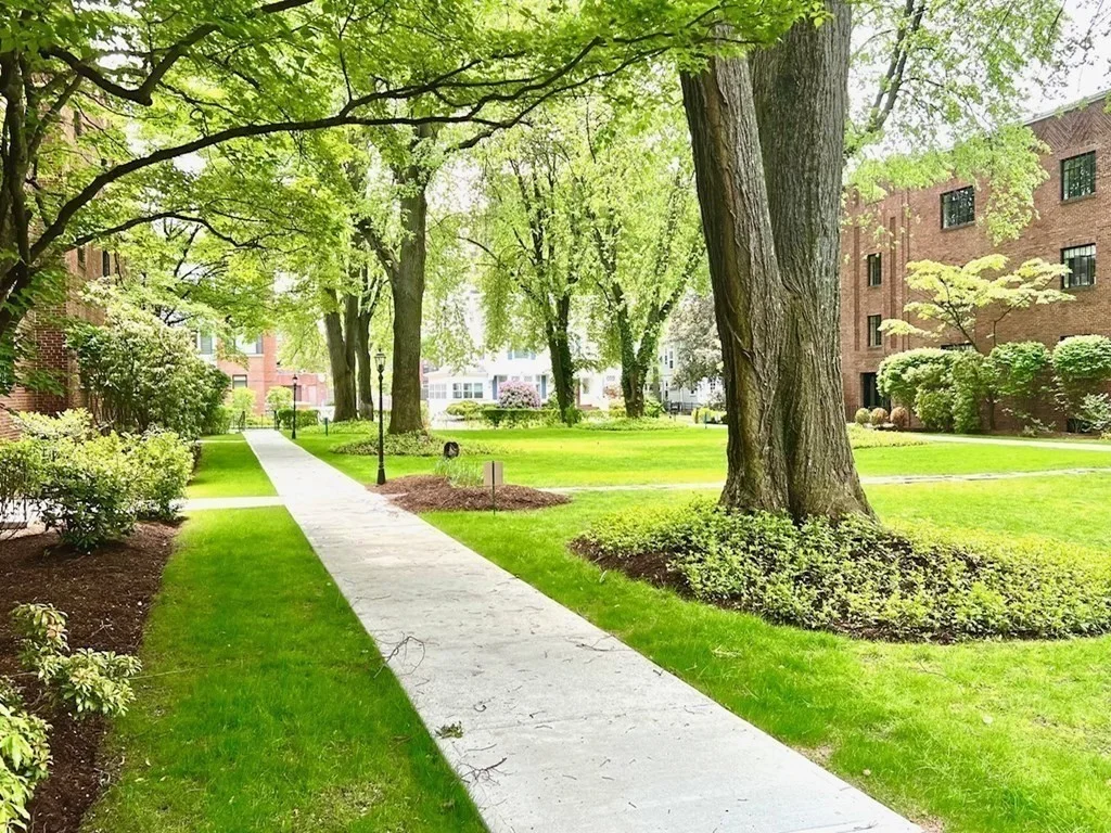 110 Sewall Ave, Coolidge Corner