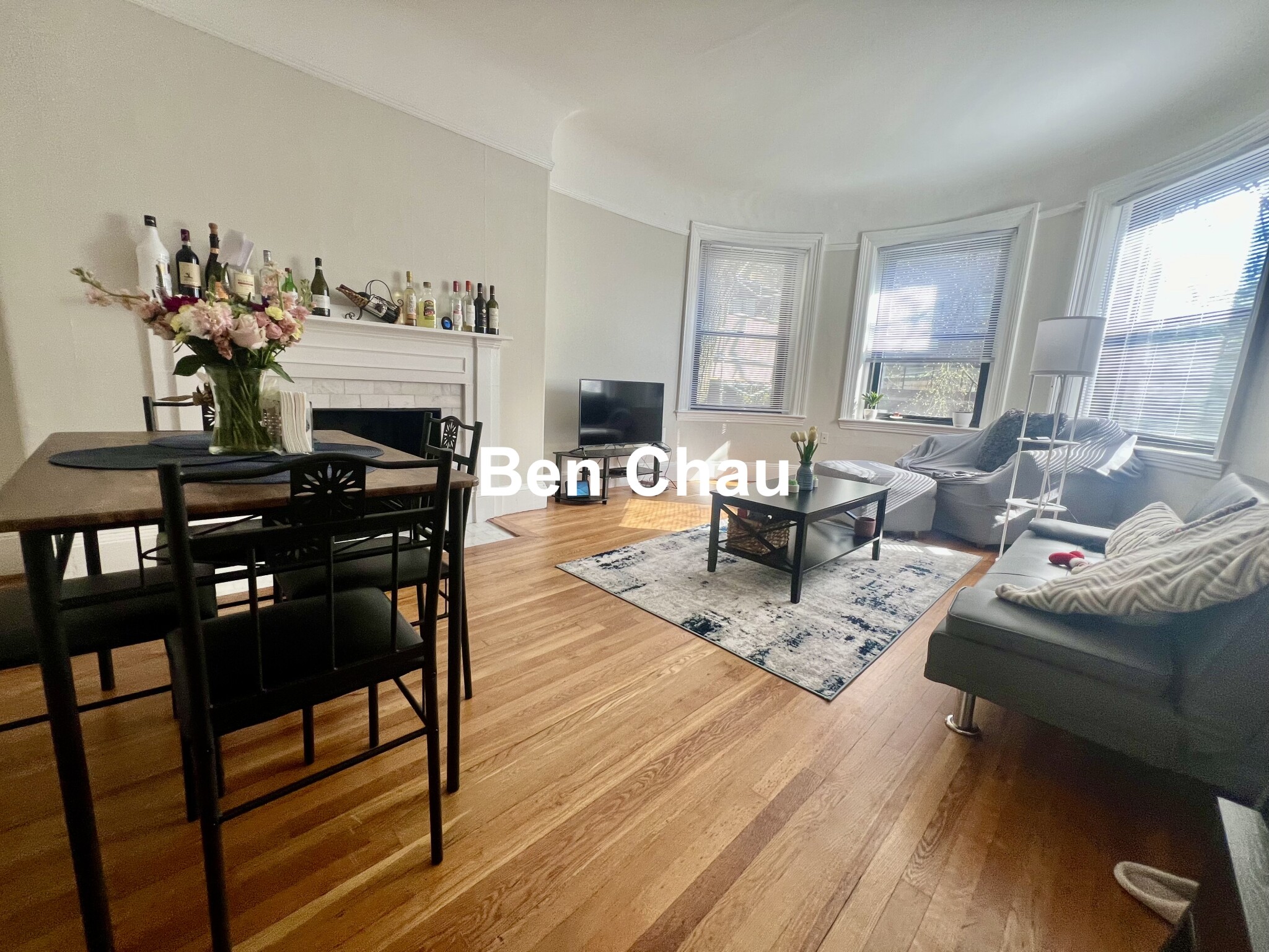 1039 Massachusetts Ave, Harvard Square