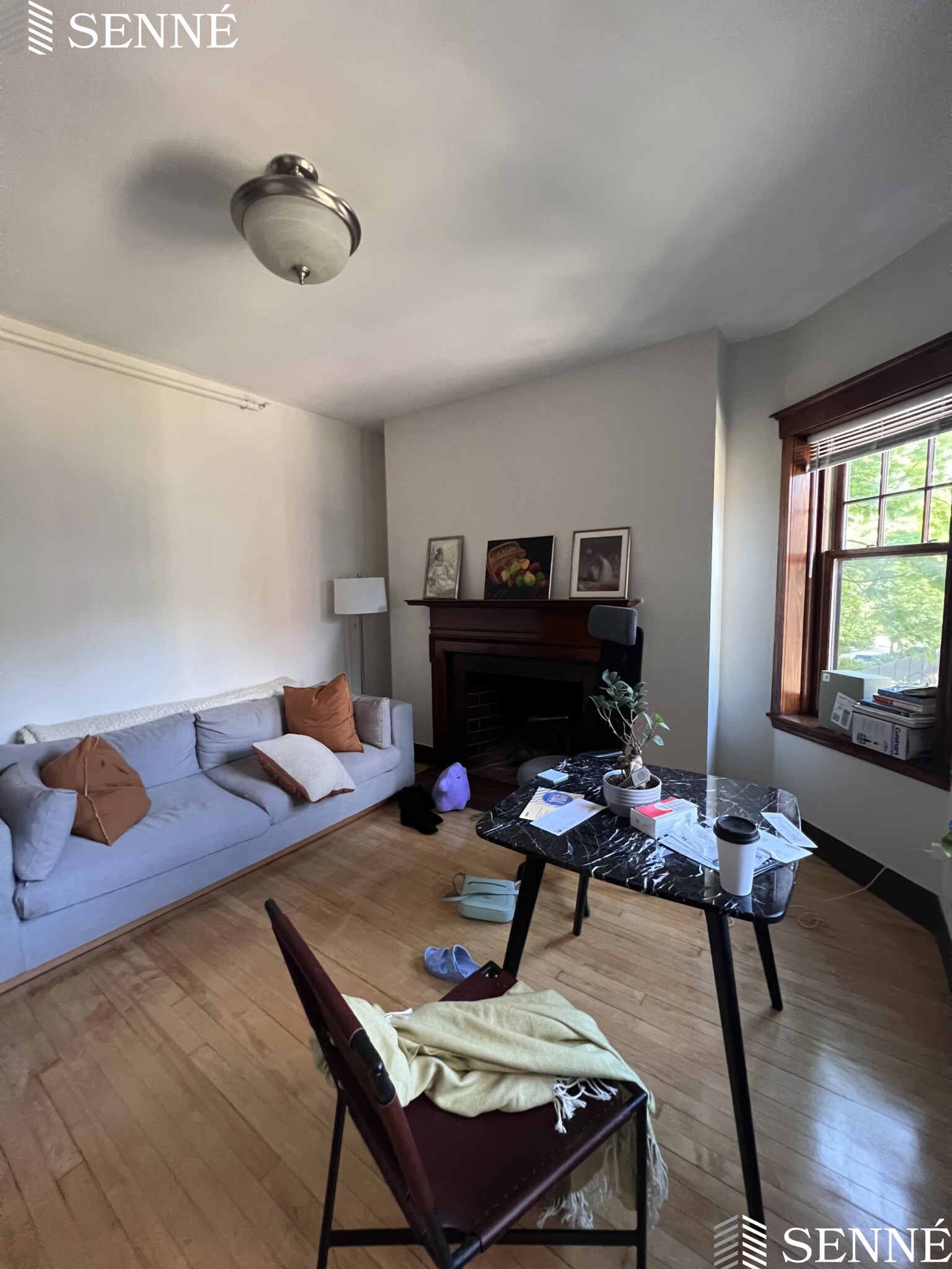 5 Linnaean St, Neighborhood Nine