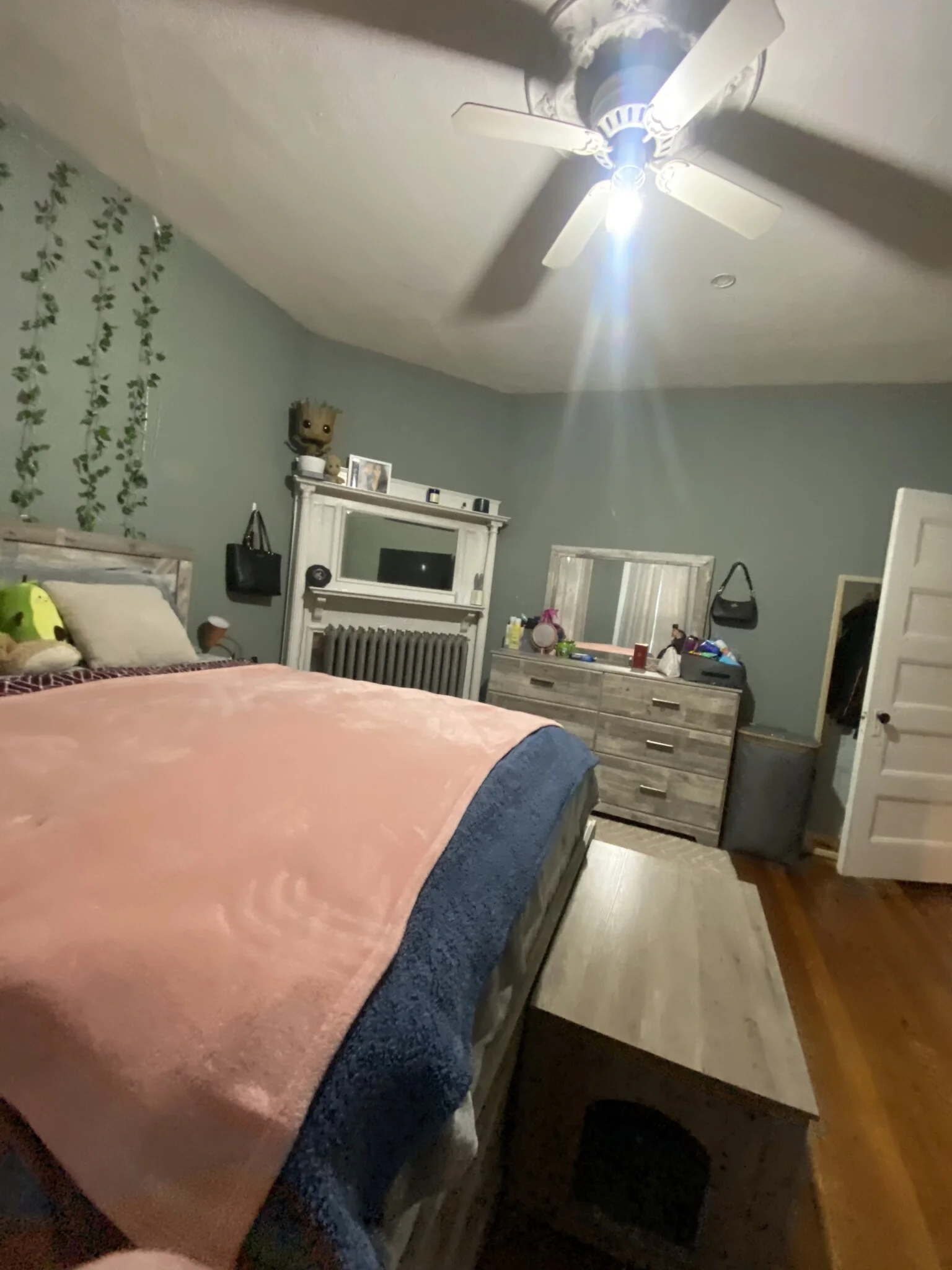 12 Bucknam St, Mission Hill