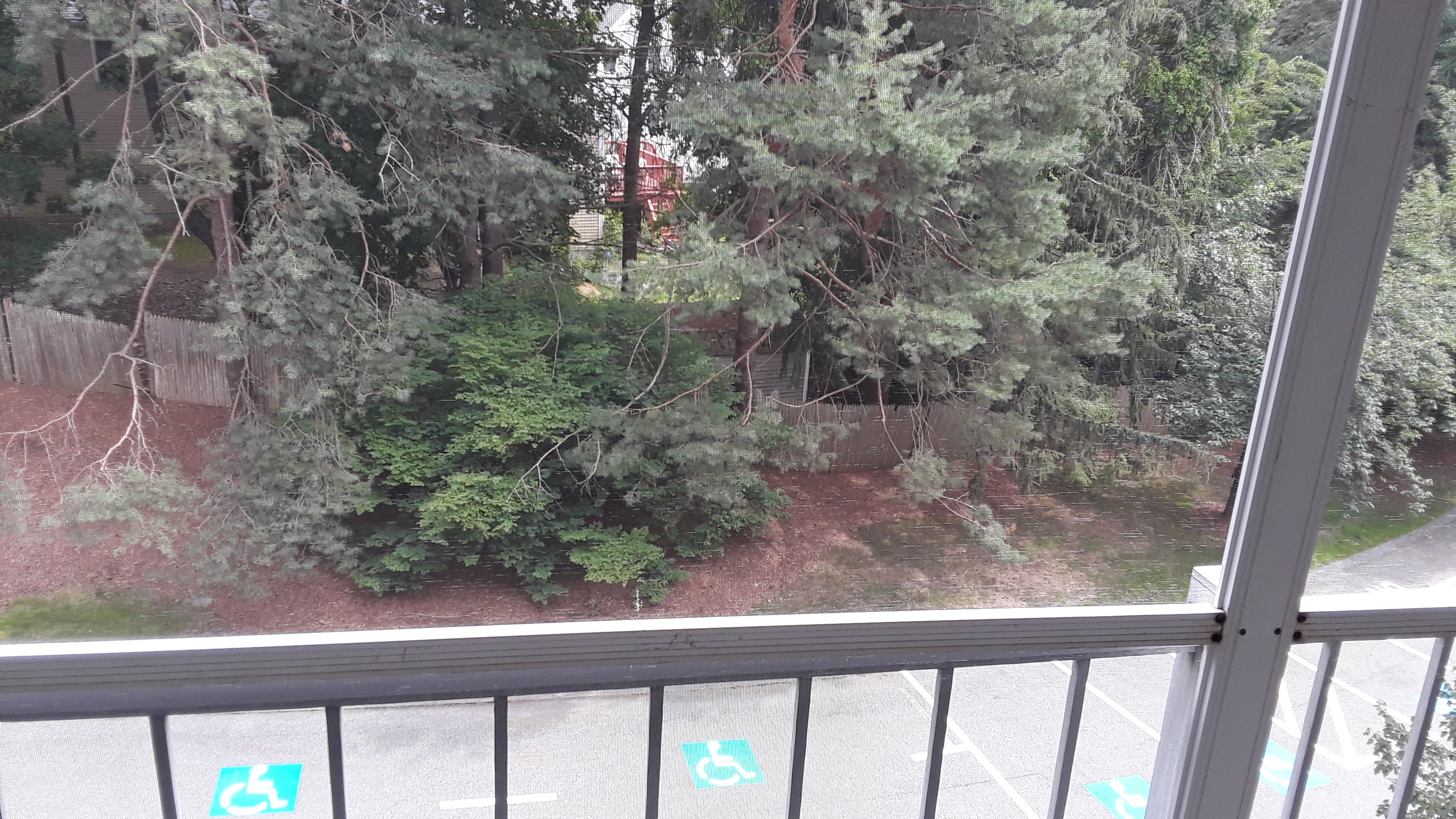 14 Temple St, Framingham