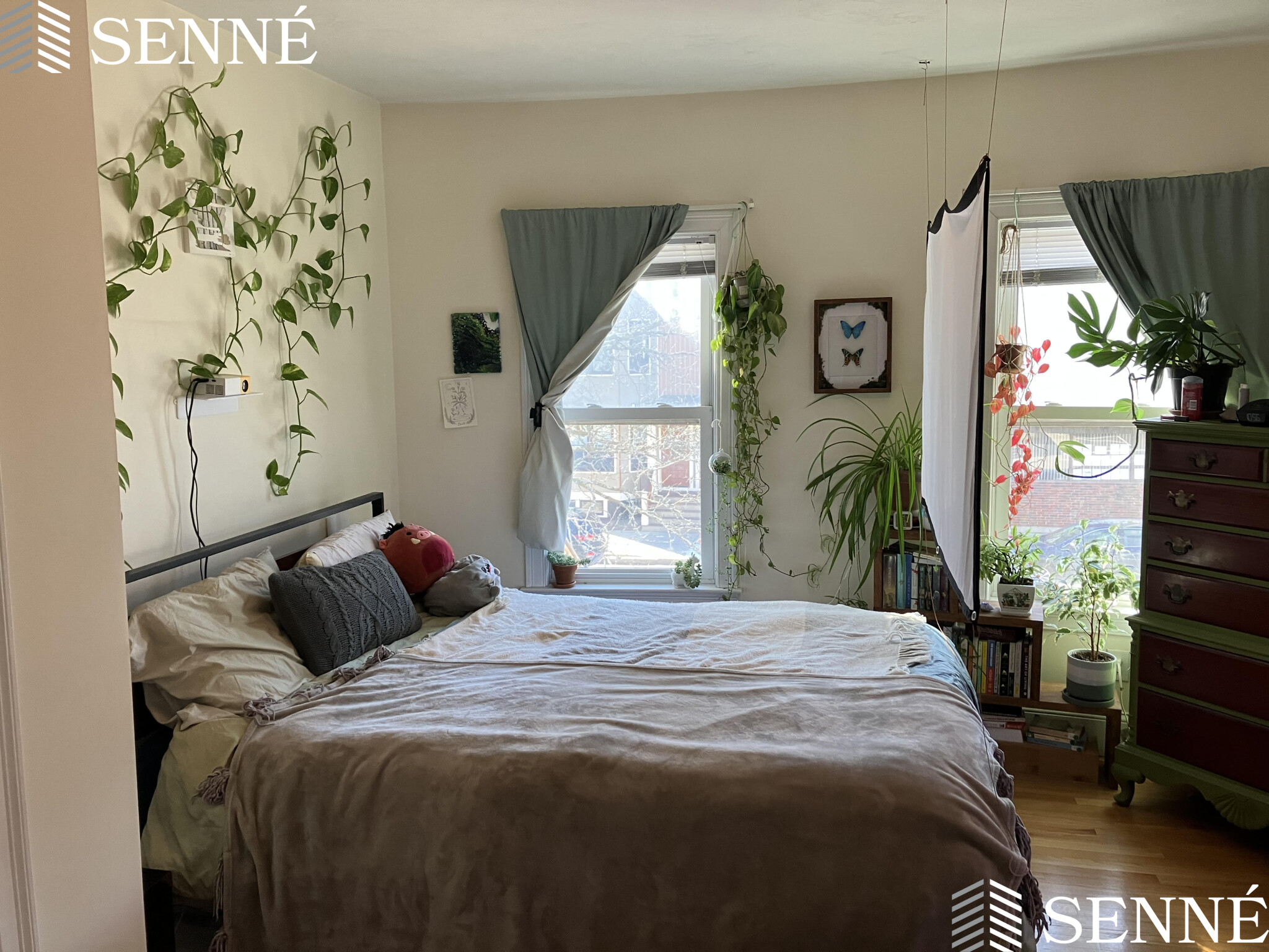 3 Westminster St, Teele Square