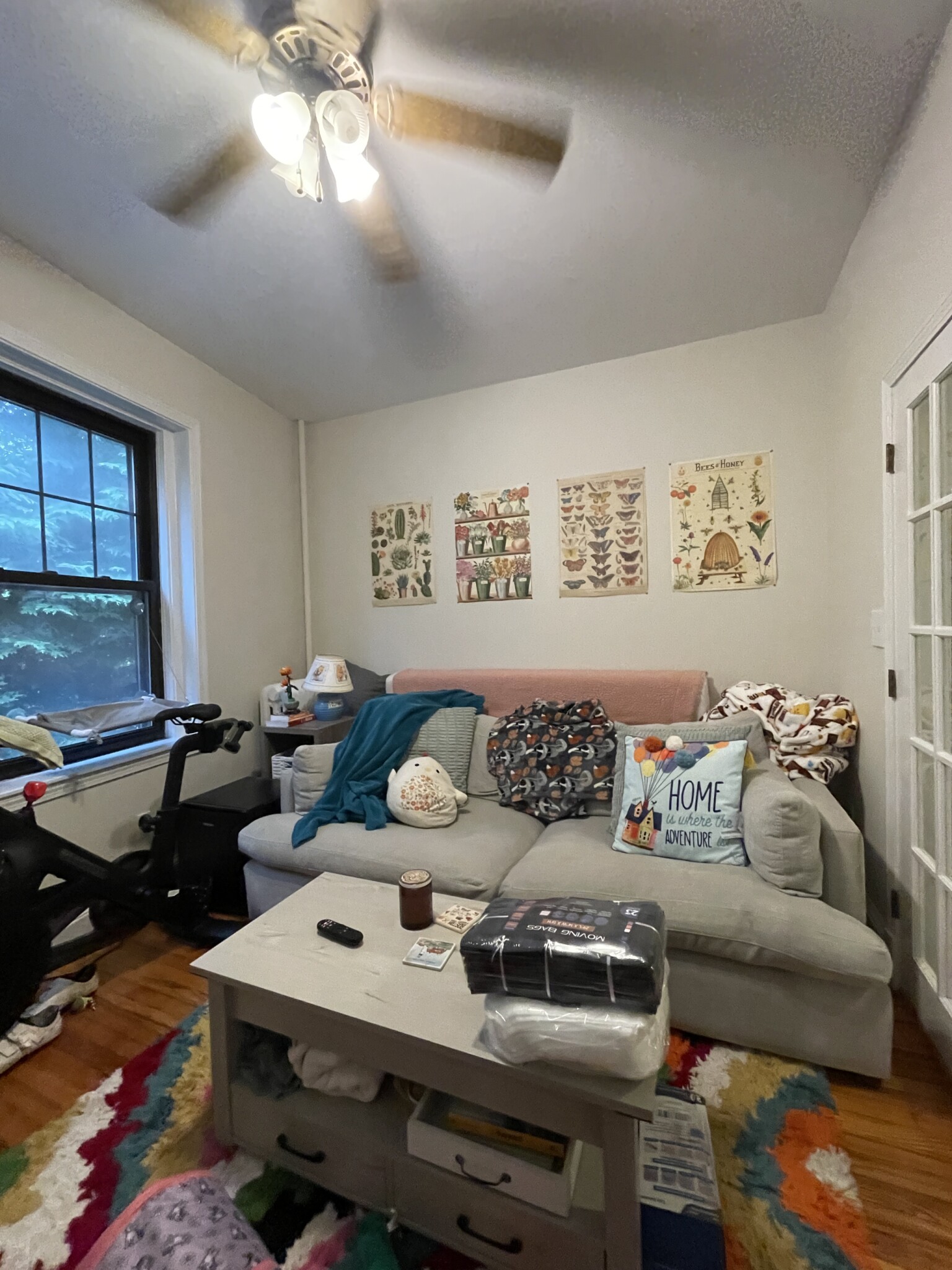 55 Lanark Rd, Brighton