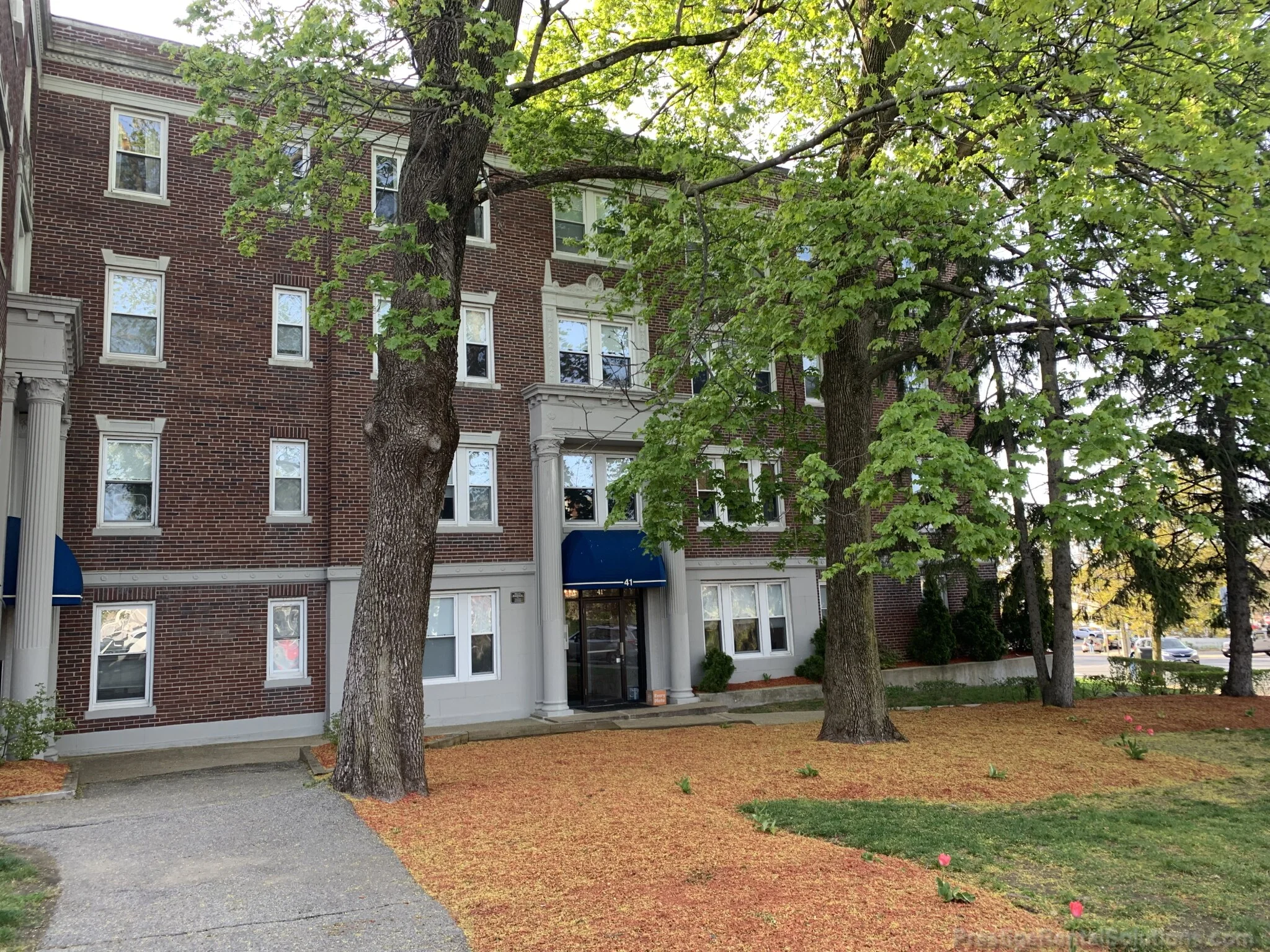 41 Chestnut Hill Ave, Brighton