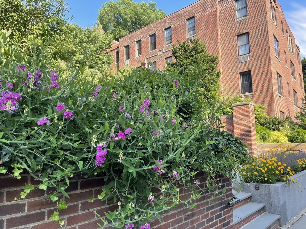 311 Tappan St, Aspinwall Hill