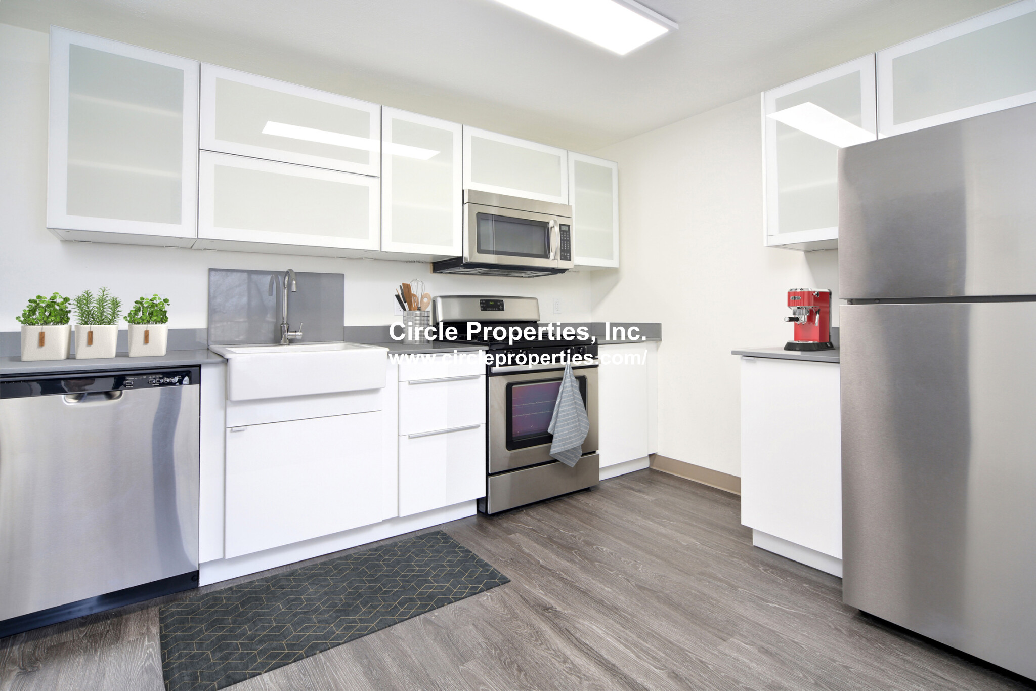 11 Darling St, Mission Hill