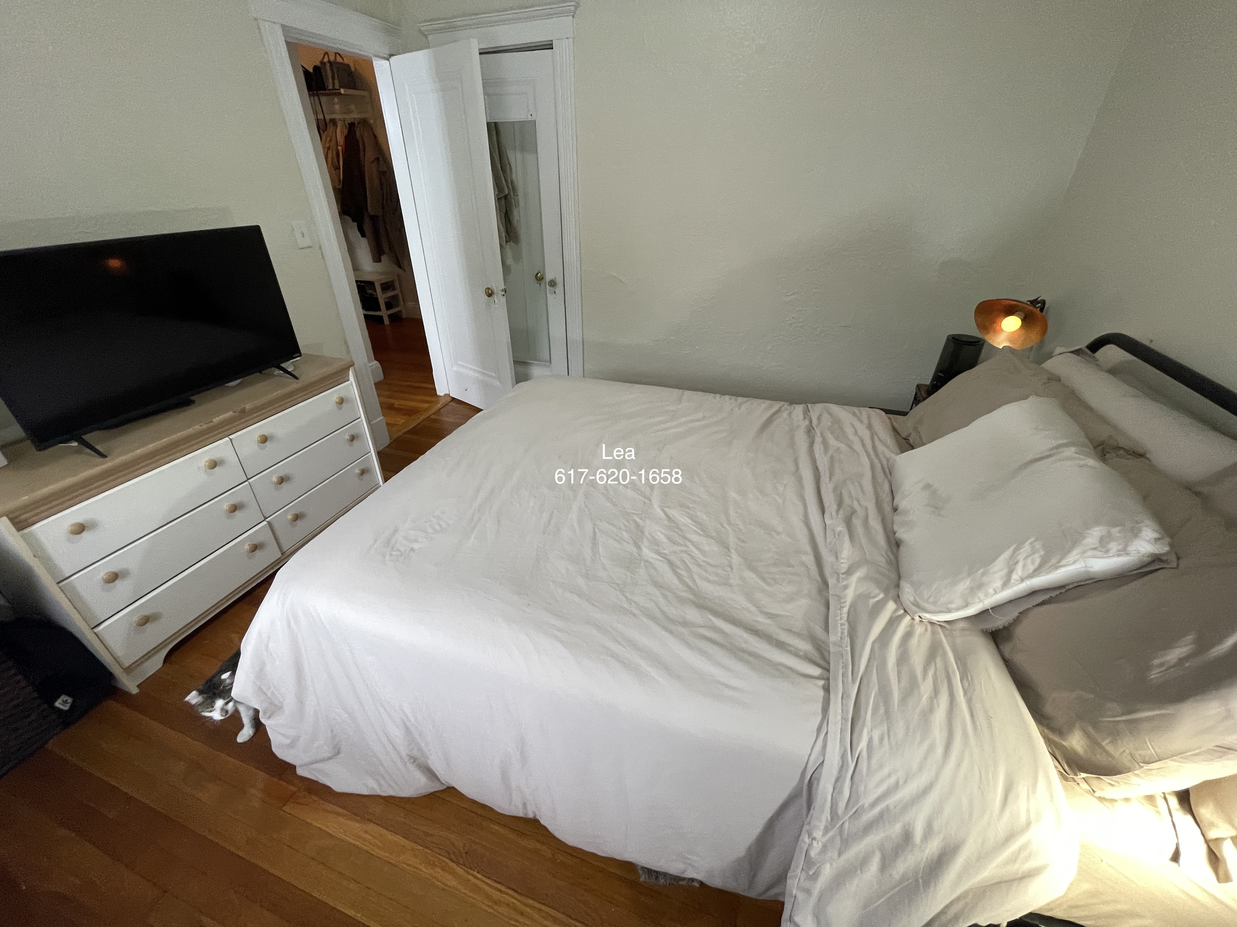 1800 Commonwealth Ave, Brighton