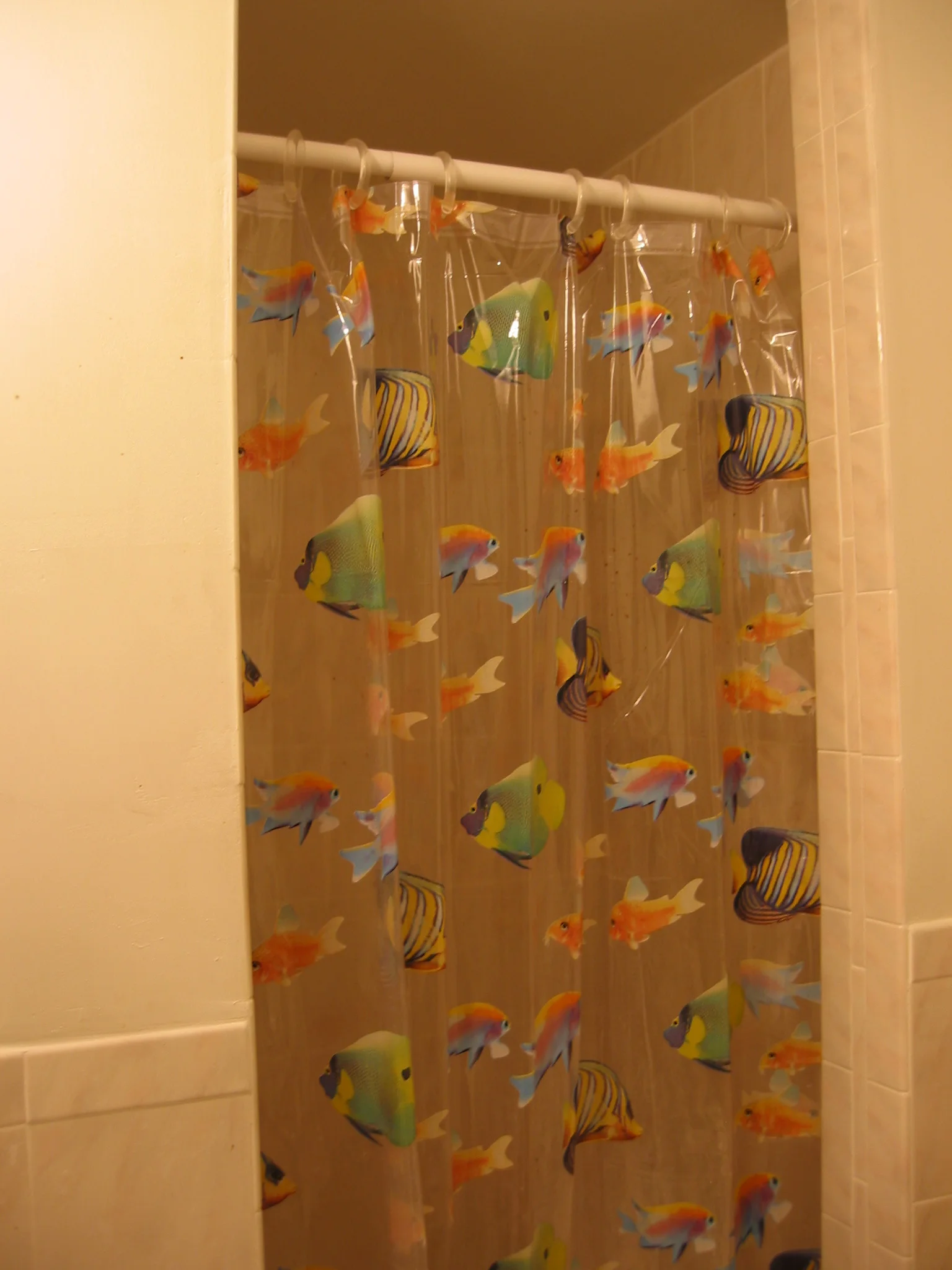 359 Windsor St, Wellington-Harrington