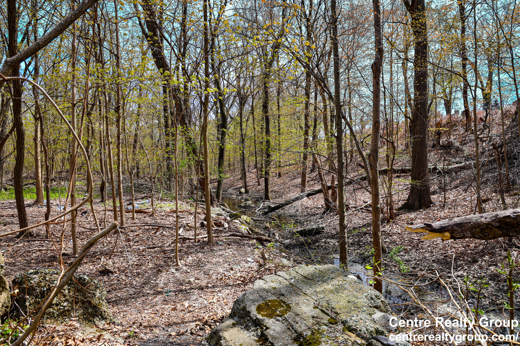 14 Bryon Rd, Chestnut Hill