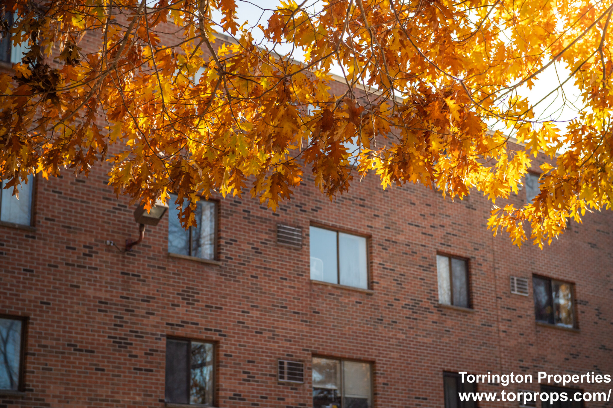 253 Hyde Park Ave, Jamaica Plain