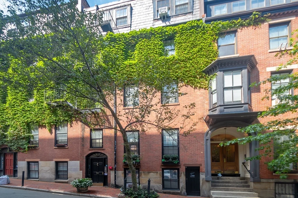 51 Hancock St, Beacon Hill