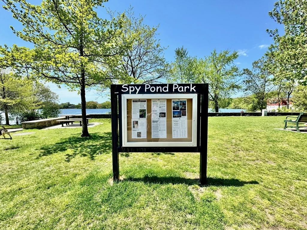 12 Pond, East Arlington