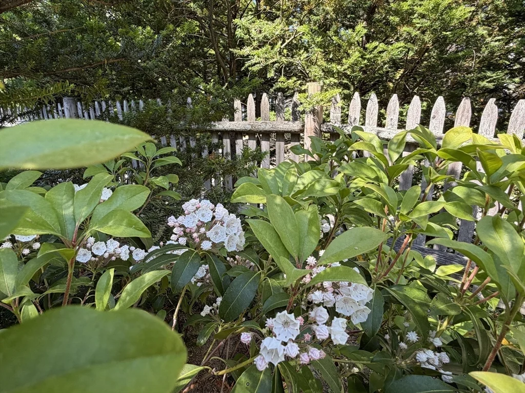 63 Pierrepont Rd, Newton Lower Falls