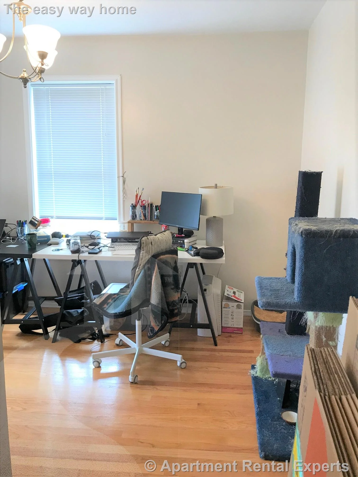 277 Putnam Ave, Cambridgeport