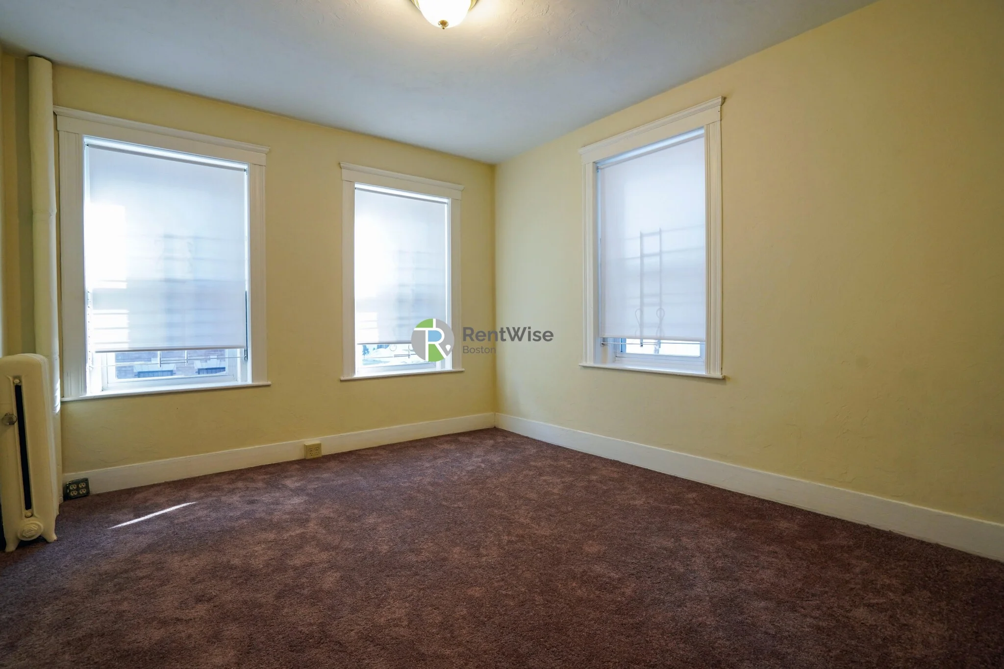 165 Kelton St, Brighton
