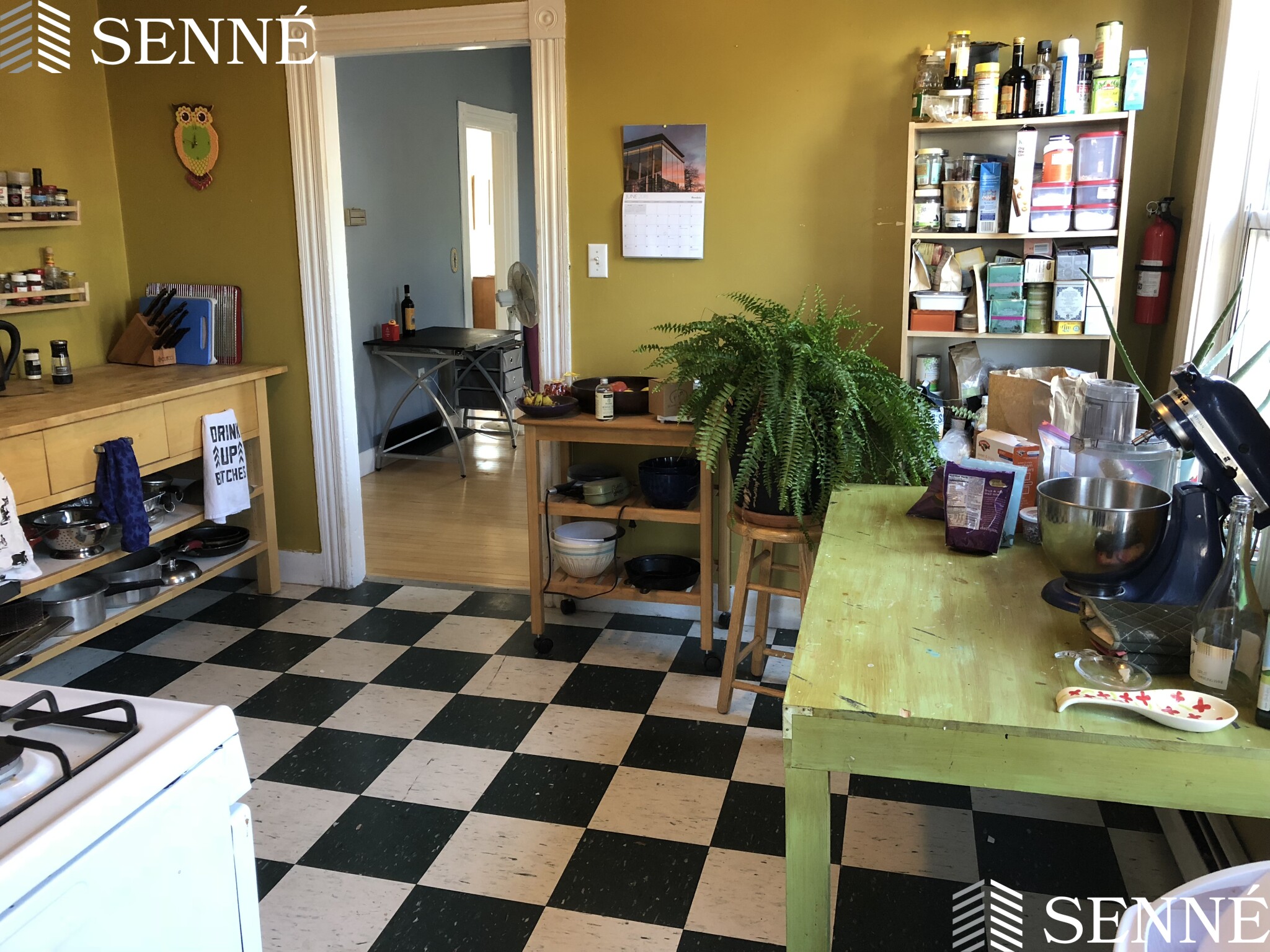 9 Thorndike St, Davis Square