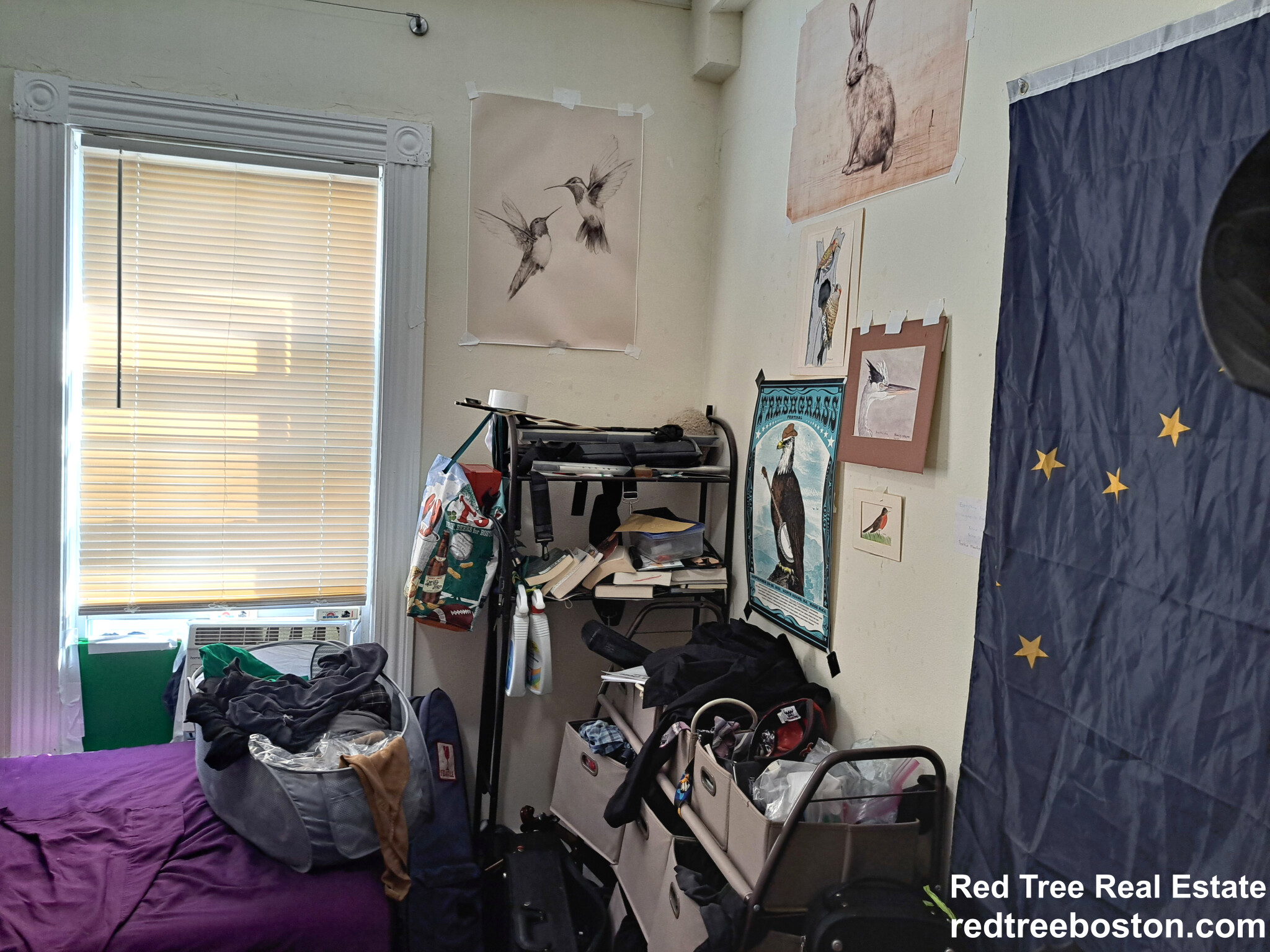 3 Washburn Ter, Brookline Village