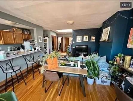 39 E Springfield, South End