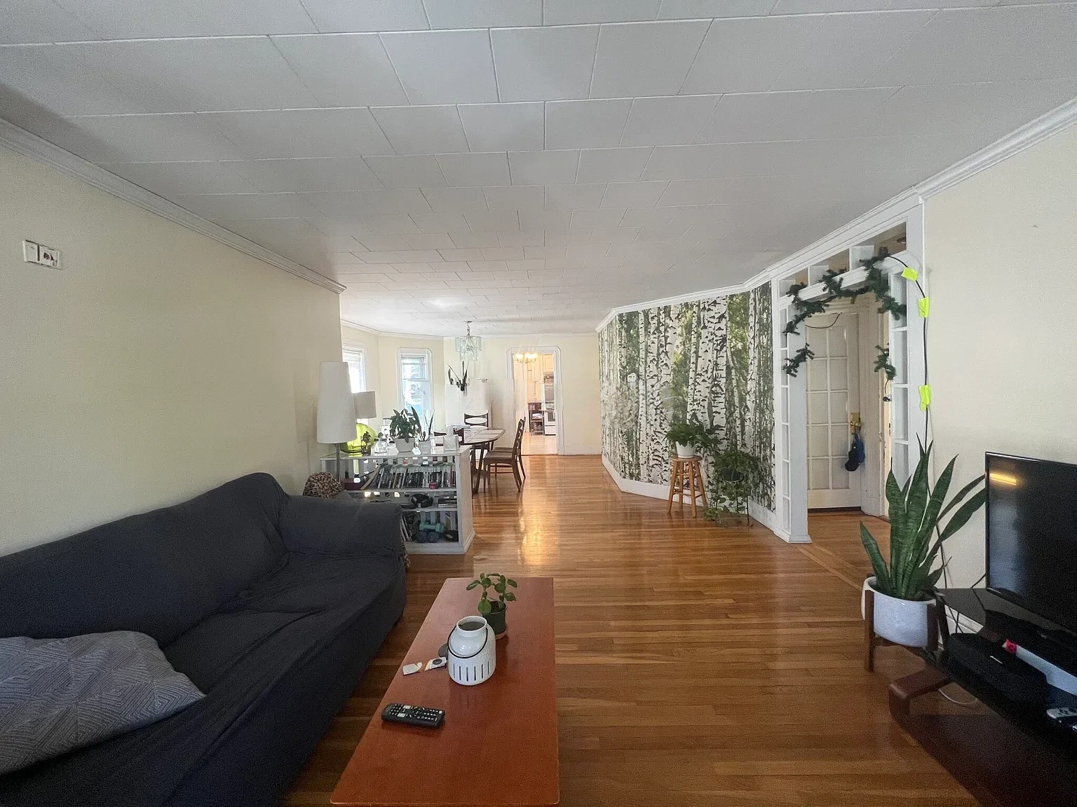 33 Winslow Ave, Davis Square