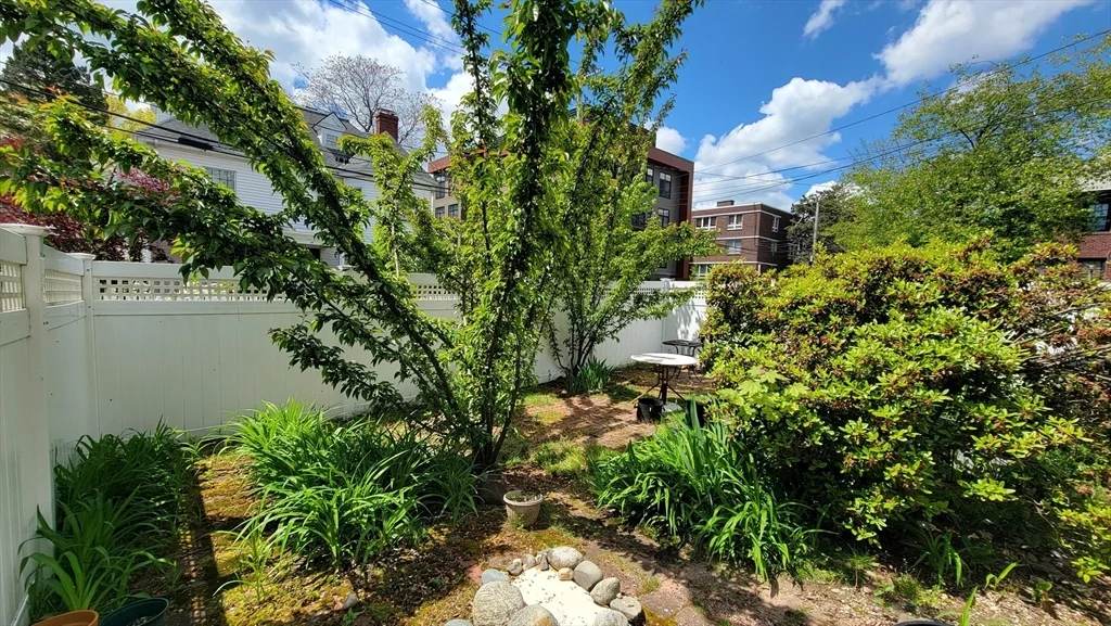 45 Auburn St, Coolidge Corner