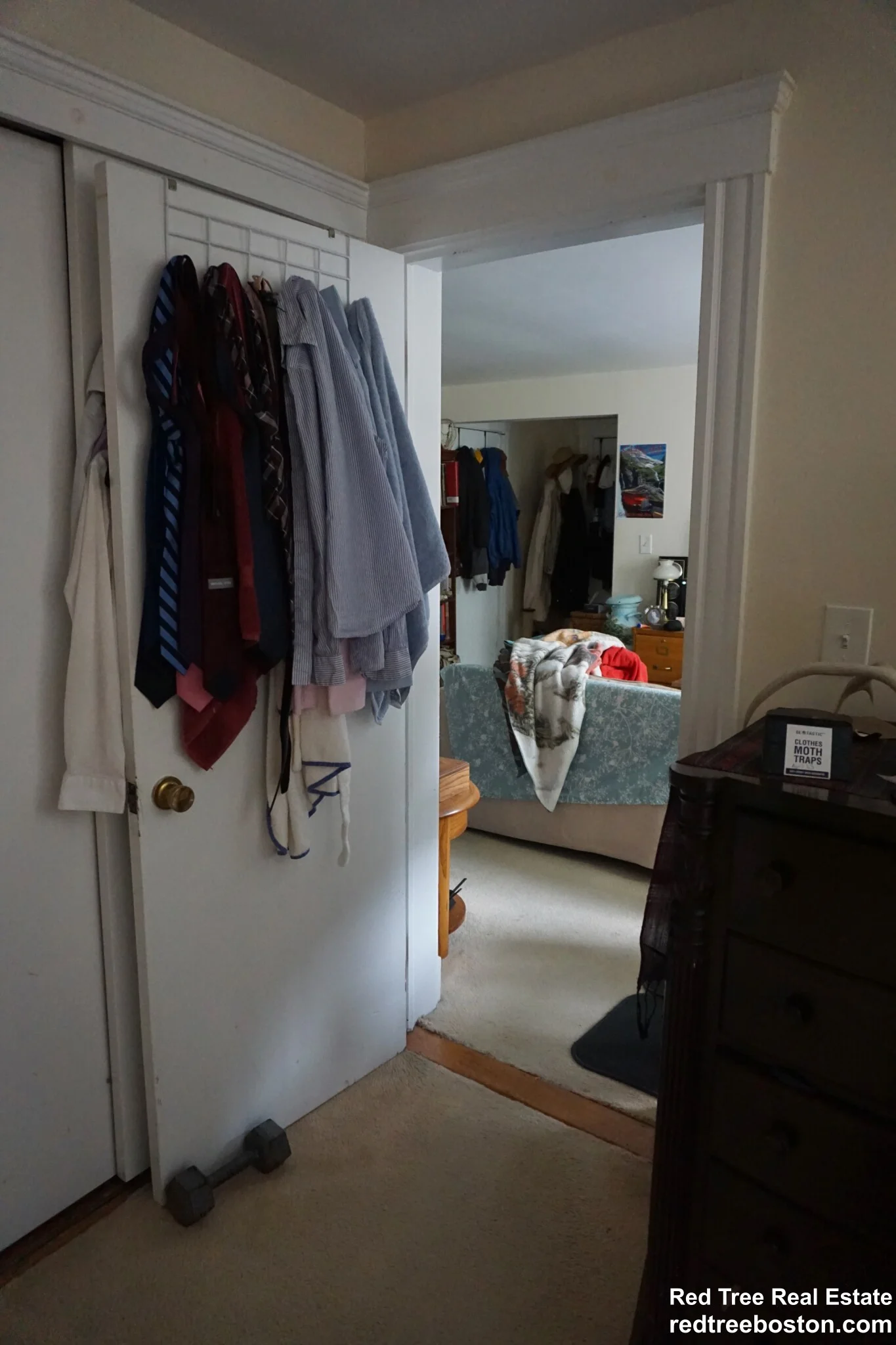 20 Colborne Rd, Brighton