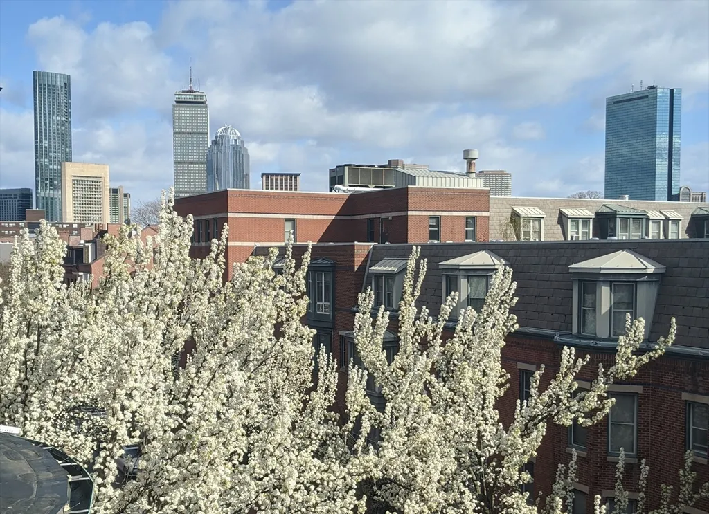 86 West Springfield, South End