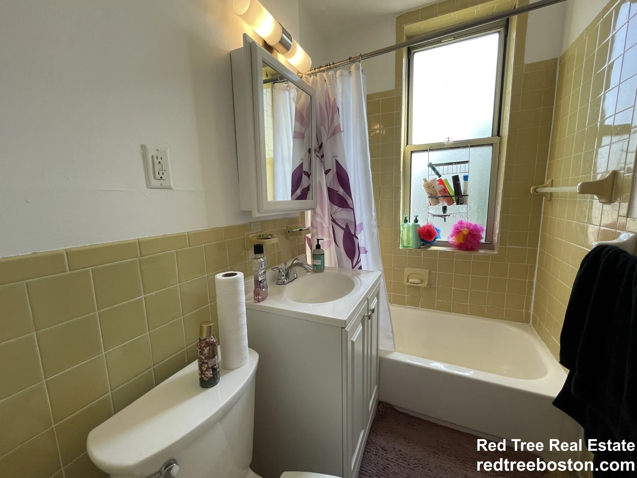 20 Colborne Rd, Brighton