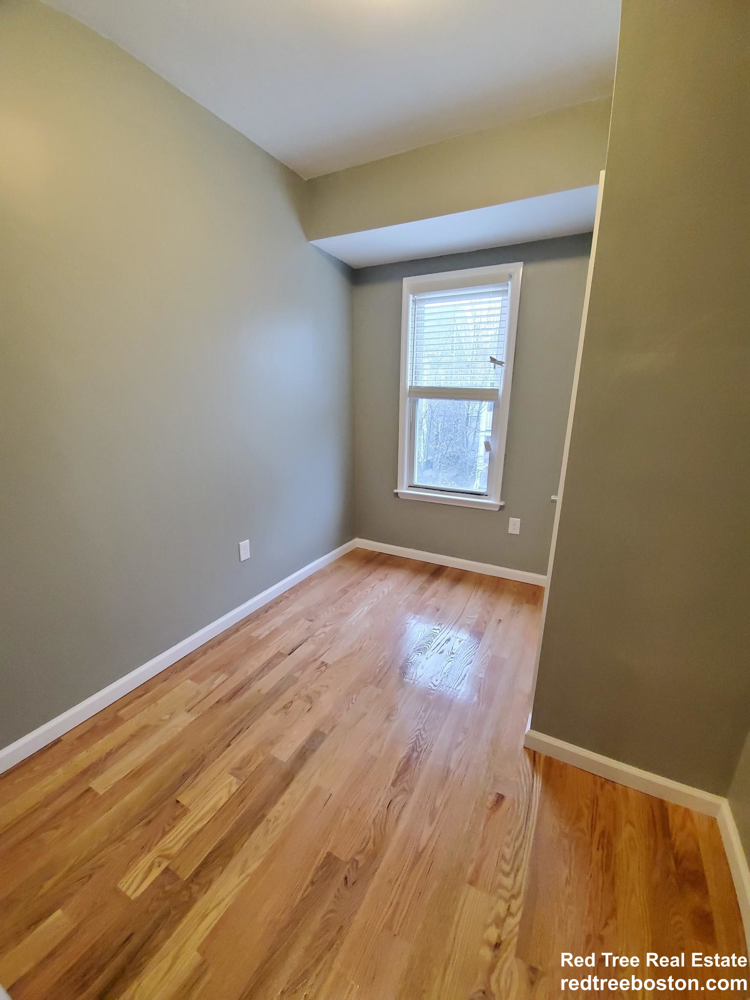 296 Brookline St, Cambridgeport